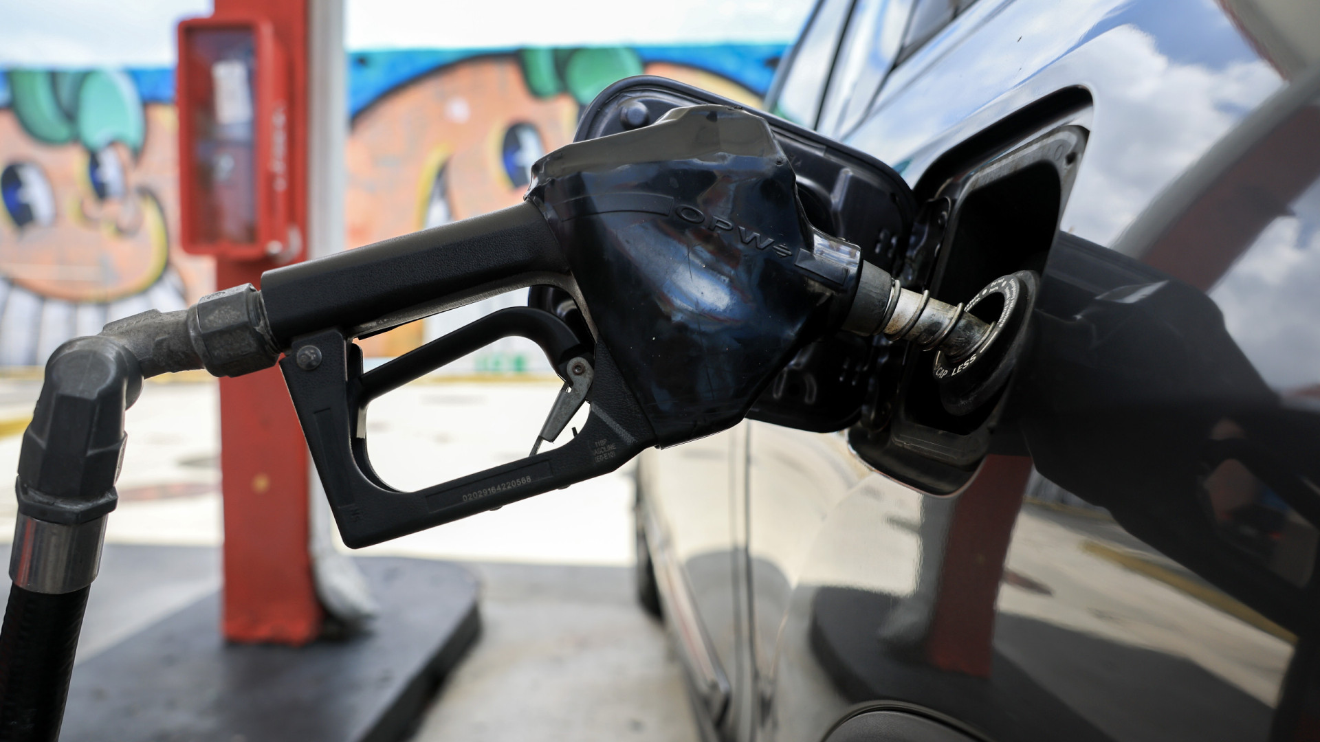 Veículos a gasóleo dominam frota do Estado. Só 1,13% são elétricos