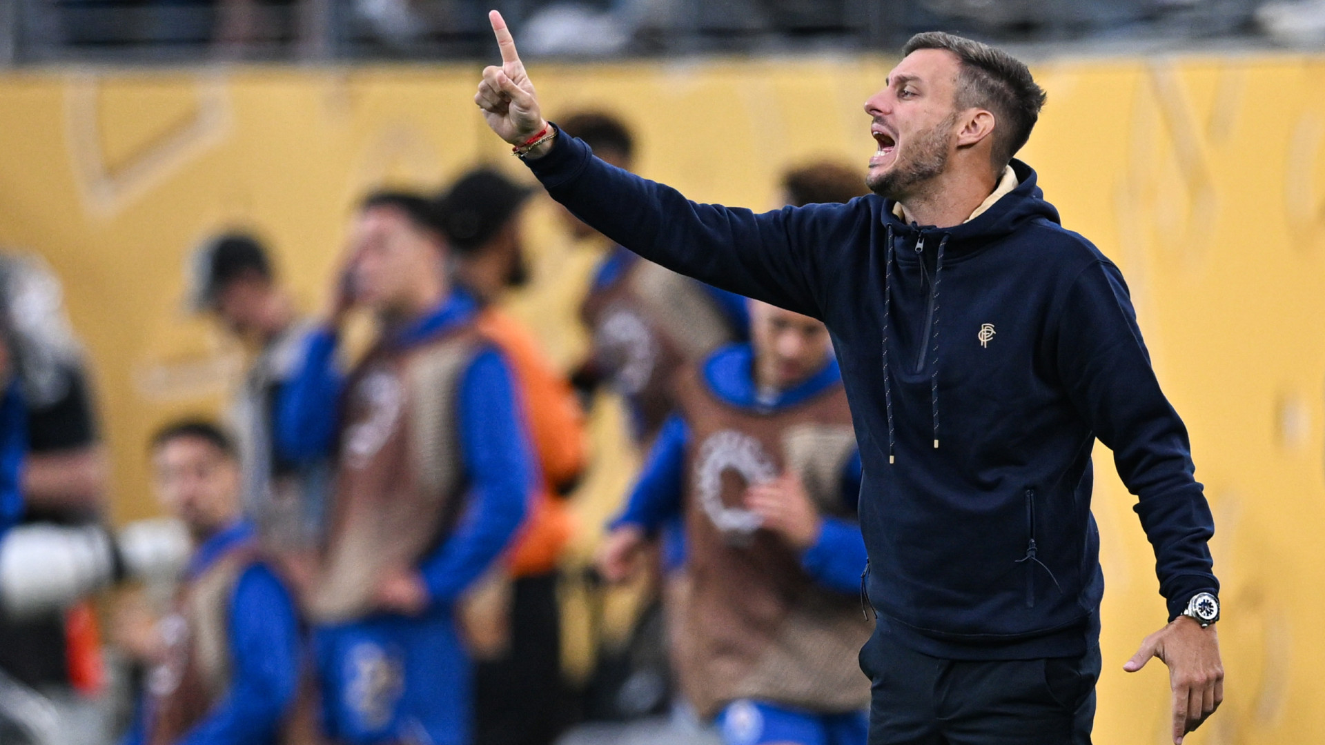 Jogador do FC Porto defende Anselmi: 