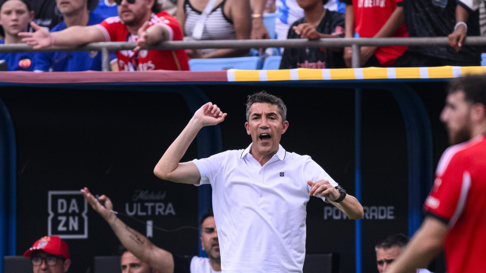 Bruno Lage frustrado após Benfica-Chelsea: “Aconteceu-nos de tudo”