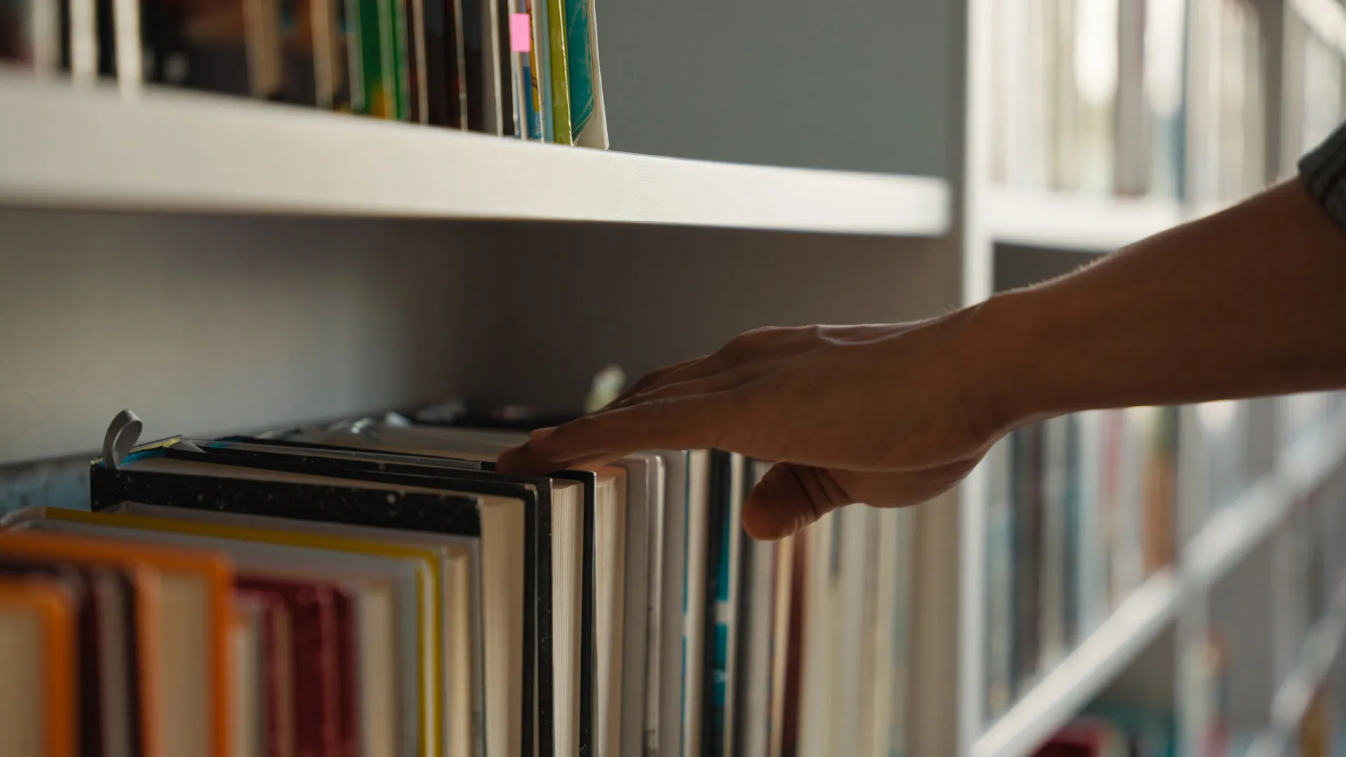 
                    Prémio Wook Novos Autores revela seis finalistas
                