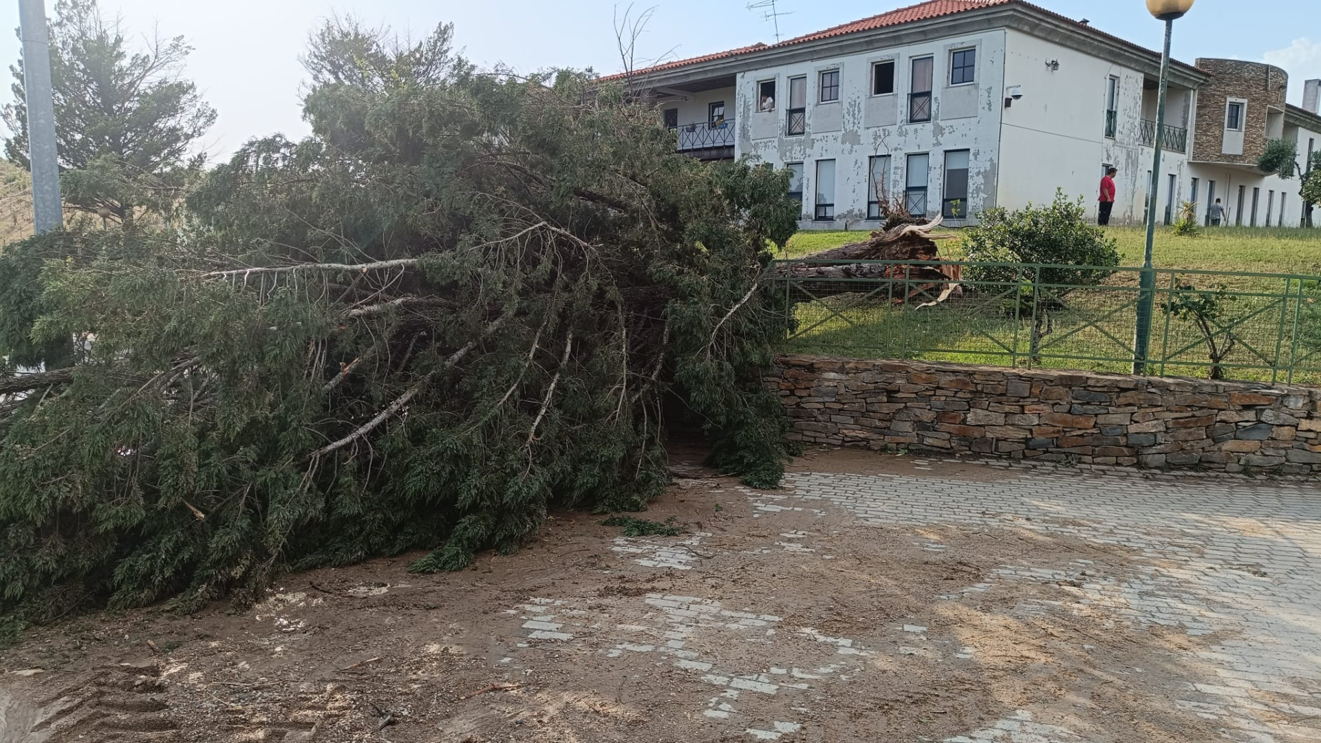 País em alerta laranja devido a calor mas em Mirandela… voaram telhados