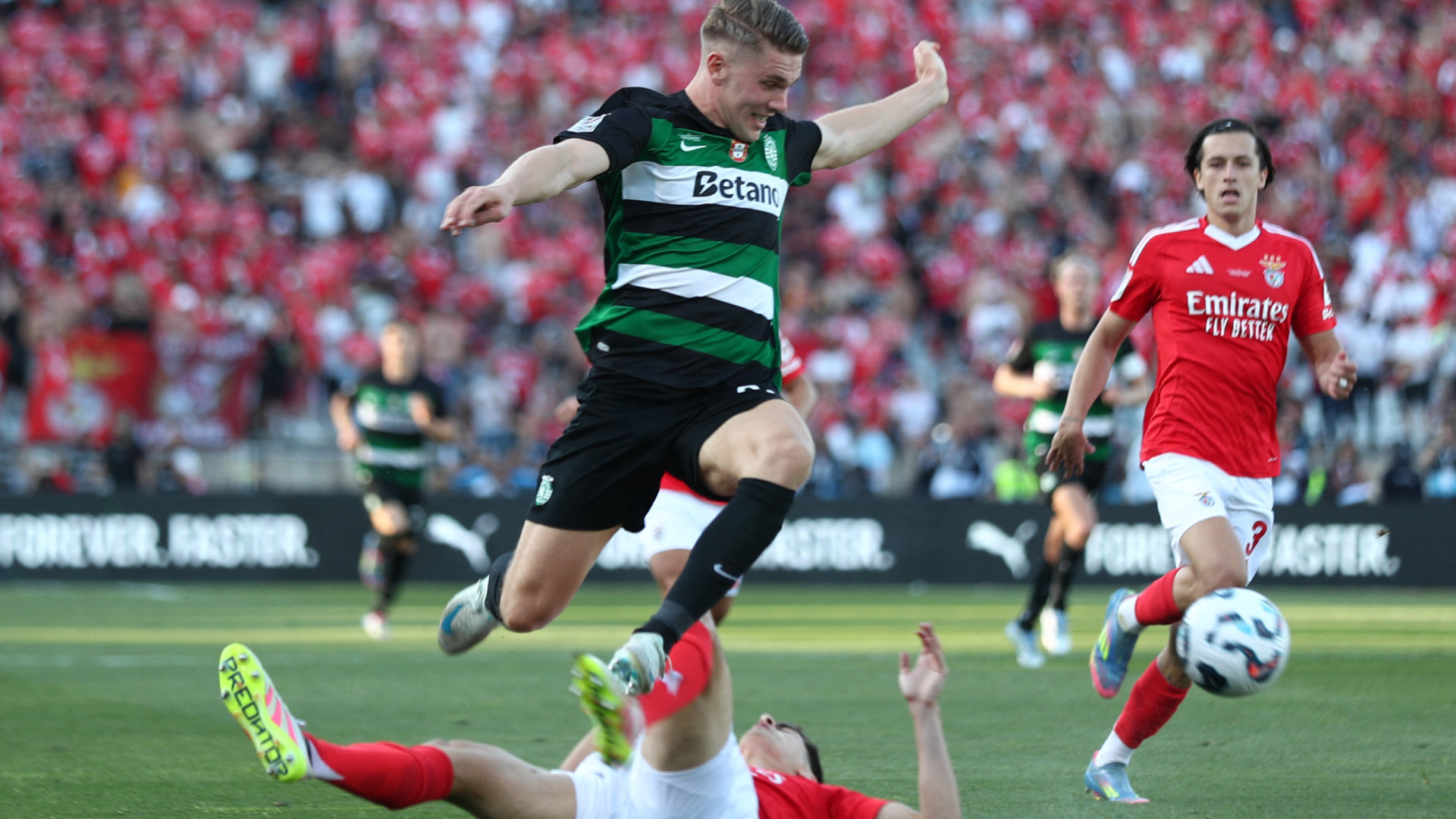 Eis o que separa Sporting e Benfica já com a Supertaça debaixo de olho