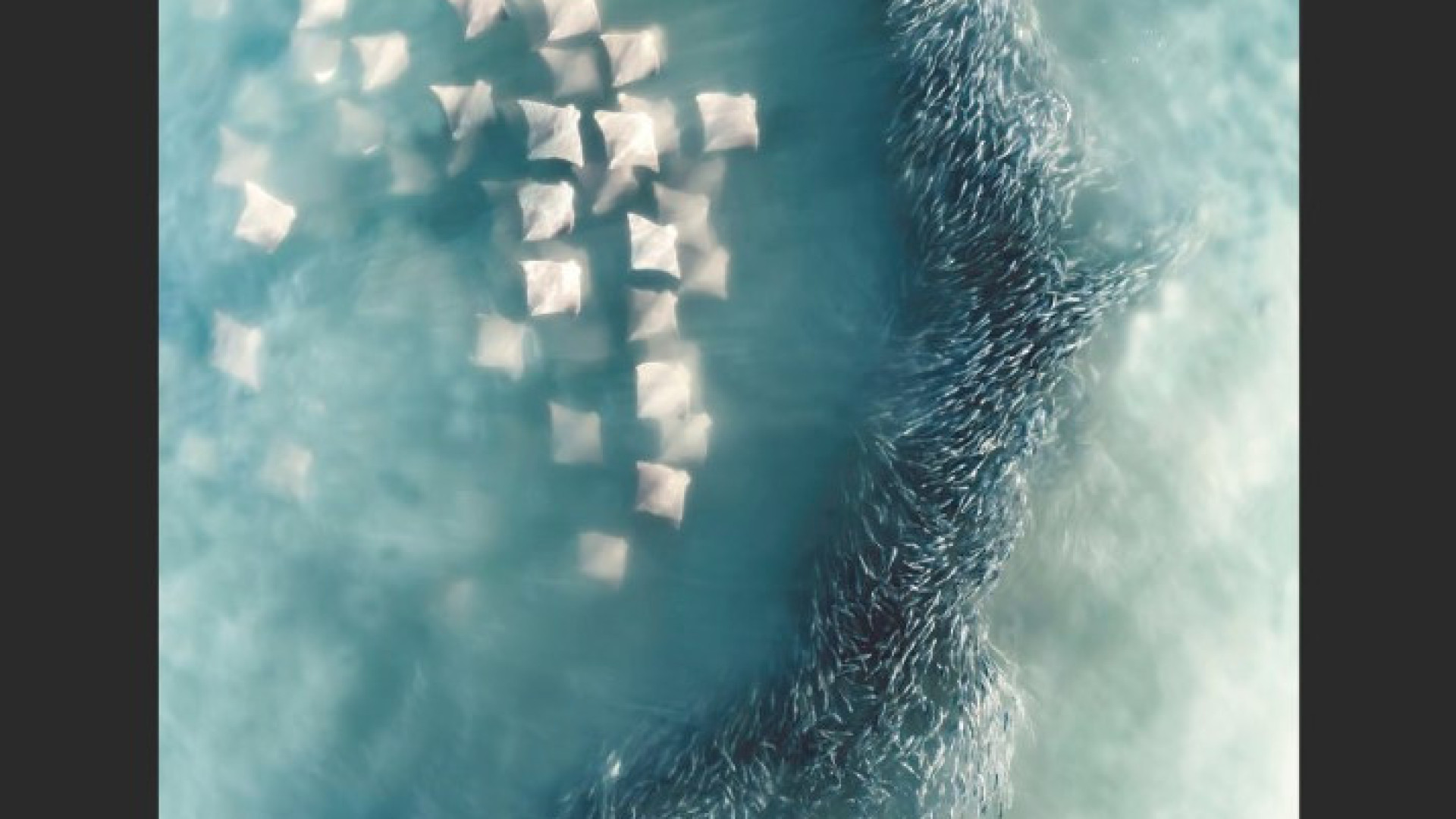 'Artista de drones' vence primeira competição de fotografia aérea. Veja