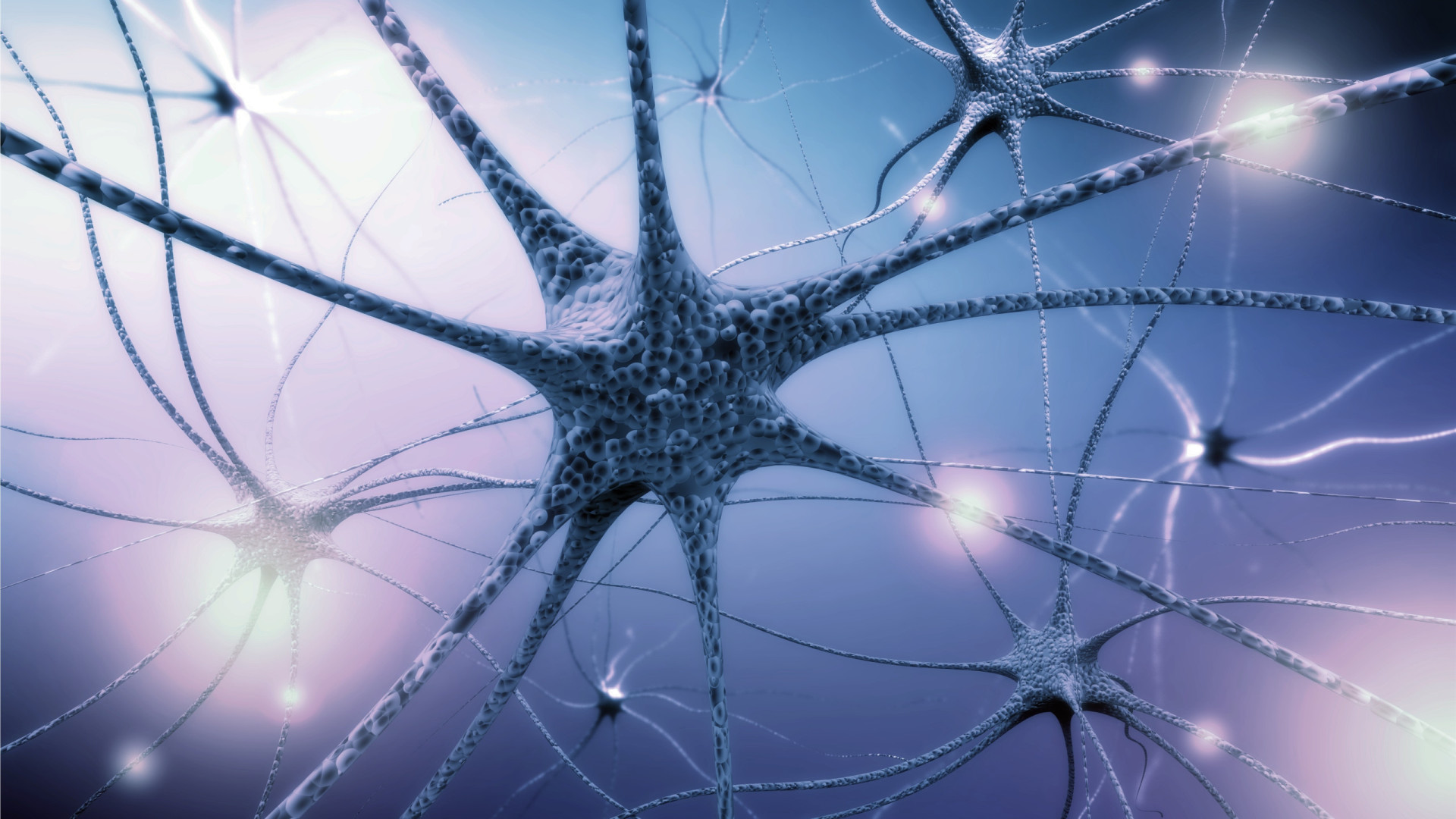 Formação de células cerebrais em adultos continua até idade avançada