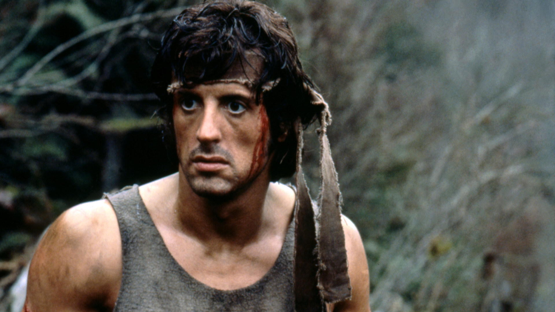Com mais de 50 anos de carreira, Sylvester Stallone celebra 79 primaveras