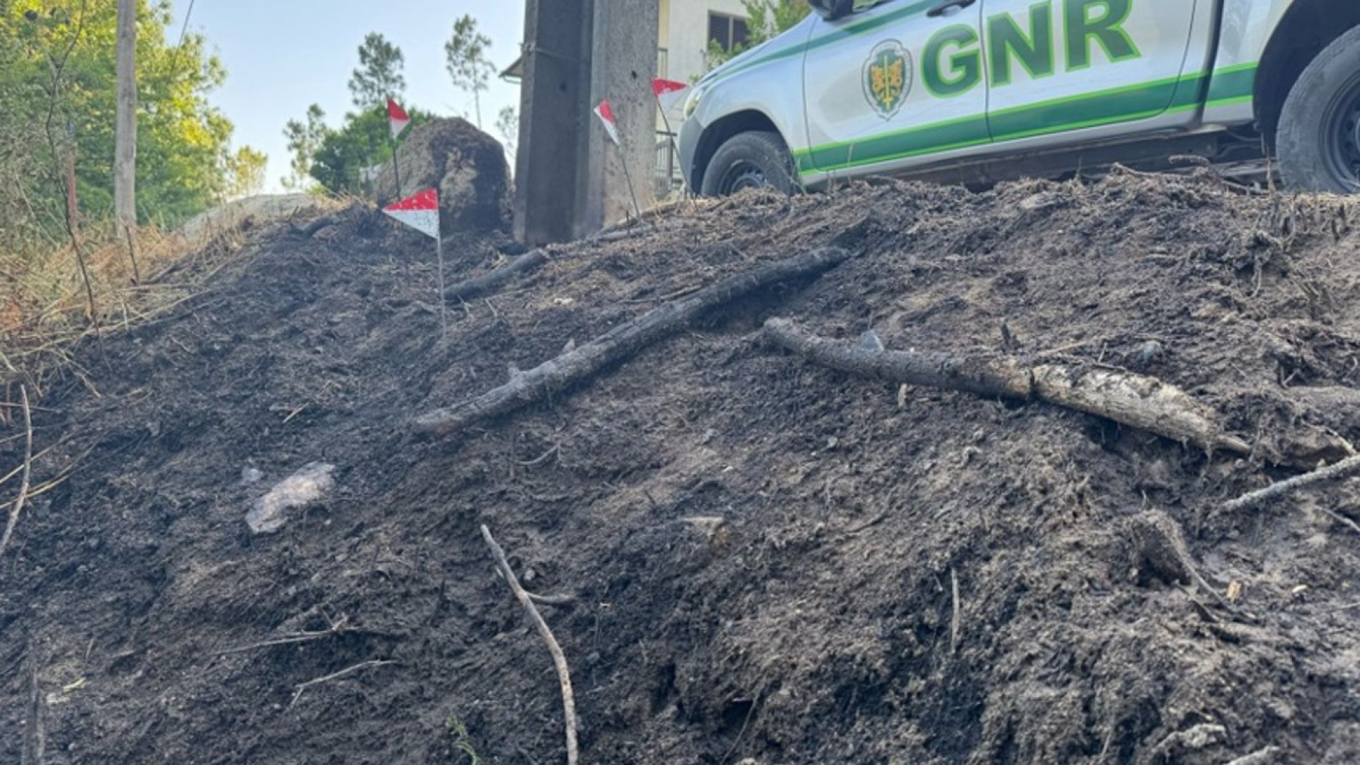Preventiva para suspeito de atear fogo em zona florestal em Castro Daire