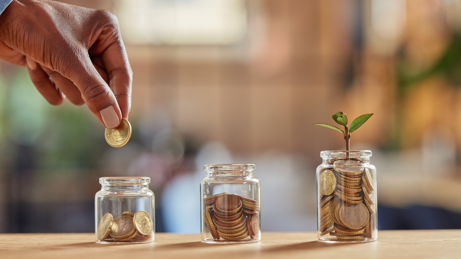 Já pode investir em OTRV. Sabe o que são e como funcionam? Quanto rendem?