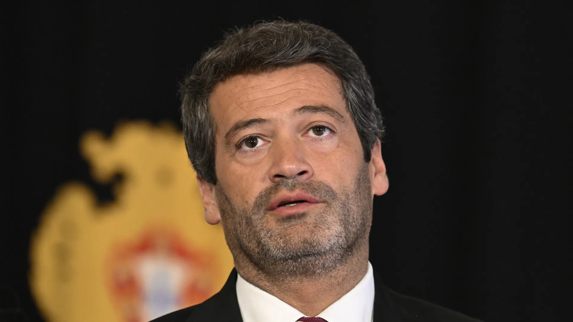 
                    Festival de hambúrgueres? 