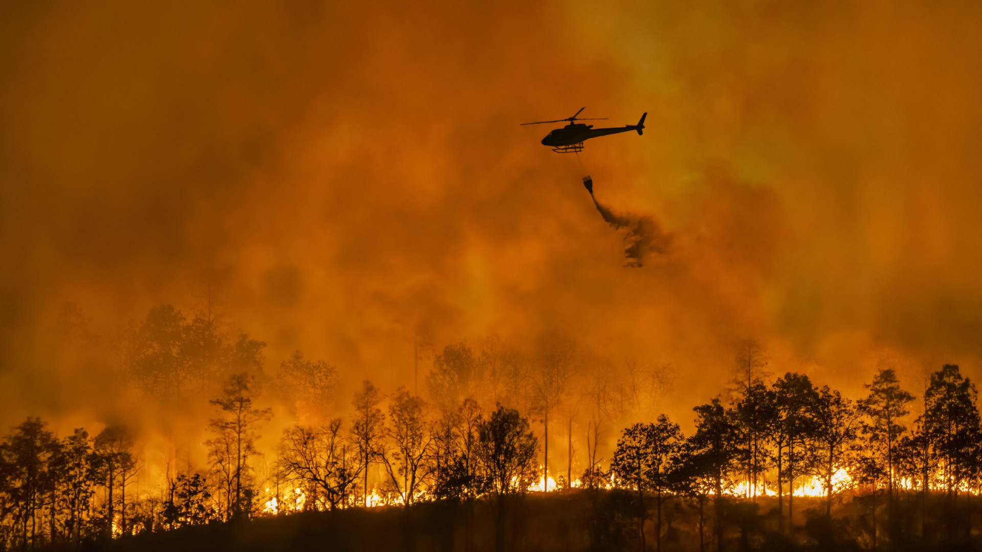 Incêndios? 