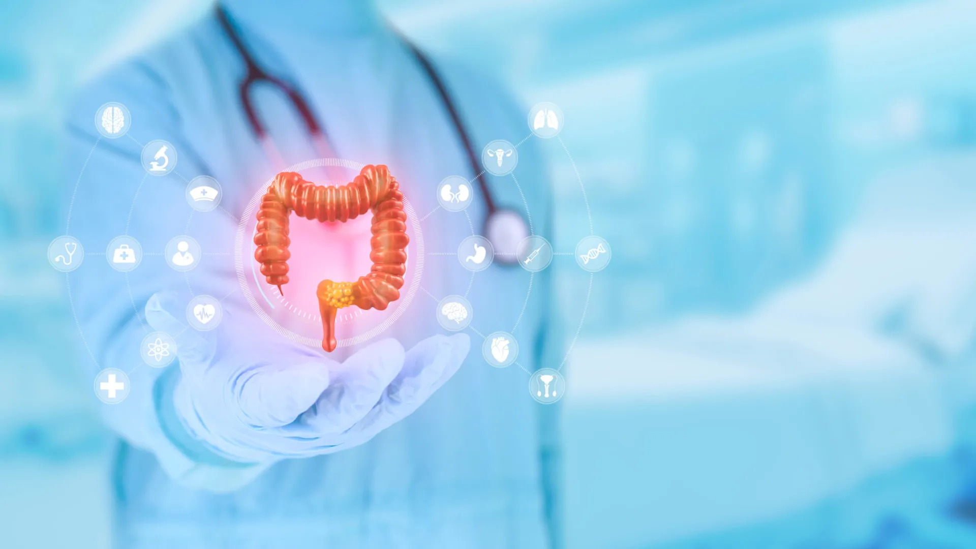 
                    A bactéria no intestino humano que pode melhorar a força muscular
                