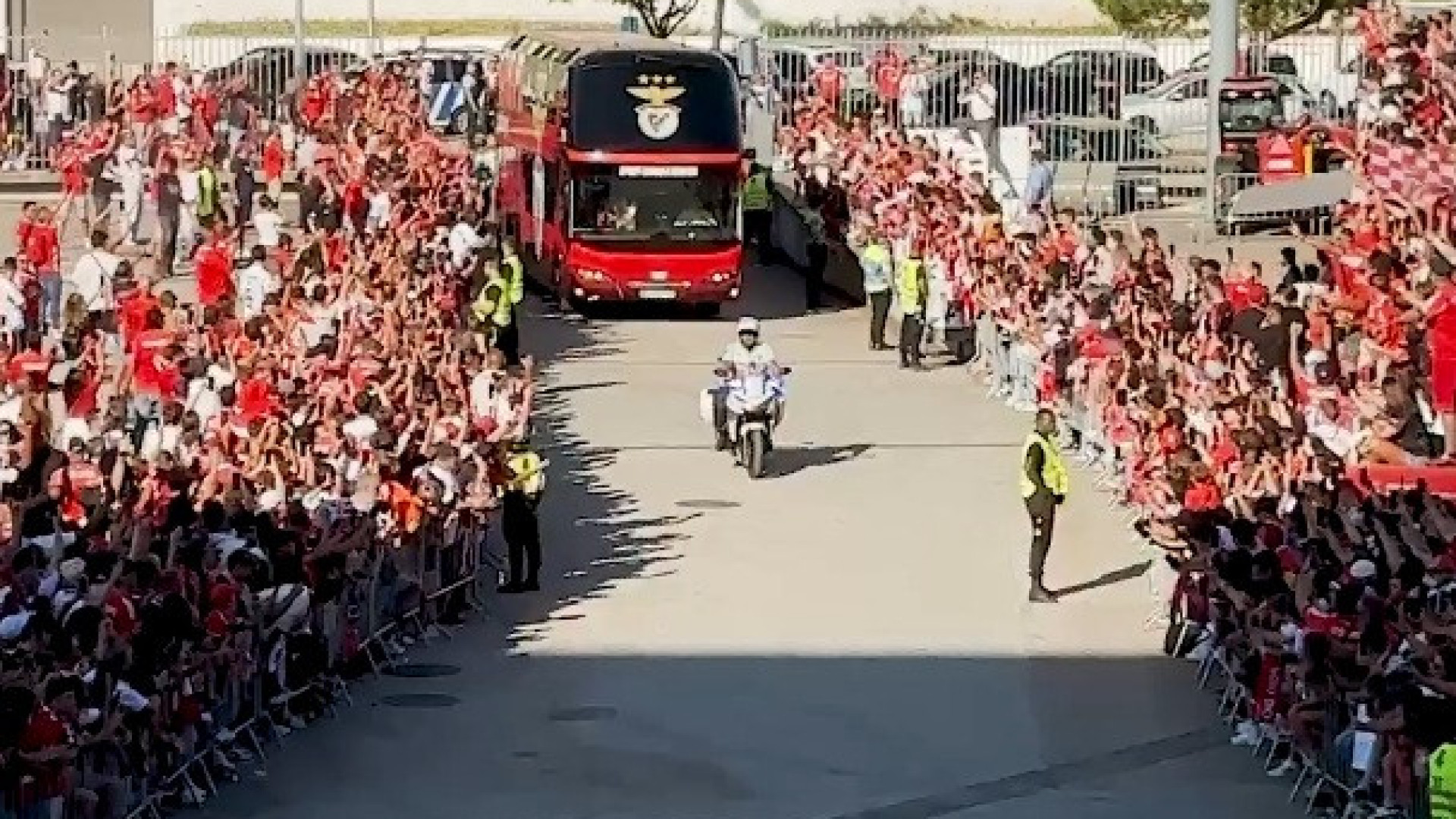 O autêntico 'banho de multidão' ao Benfica antes do jogo com o Fenerbahçe