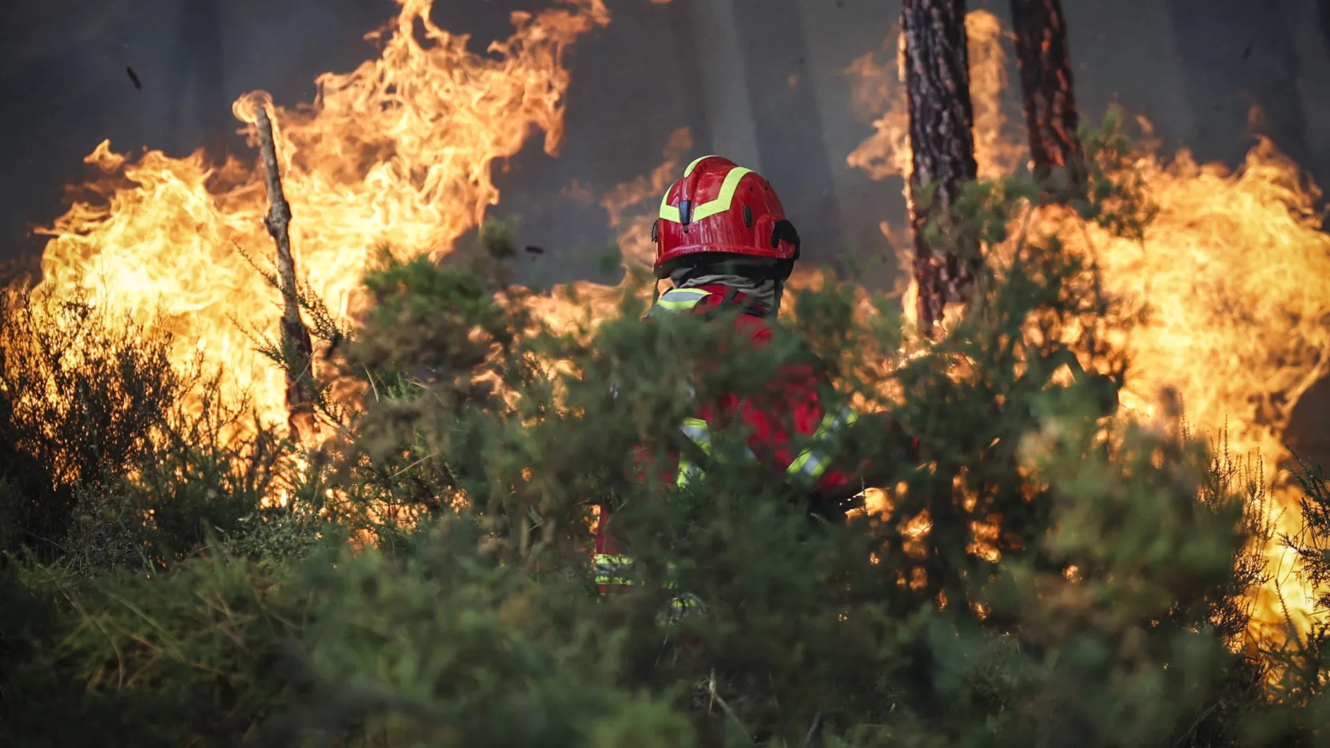 
                    Portugal foi alvo de desinformação russa sobre incêndios em agosto
                