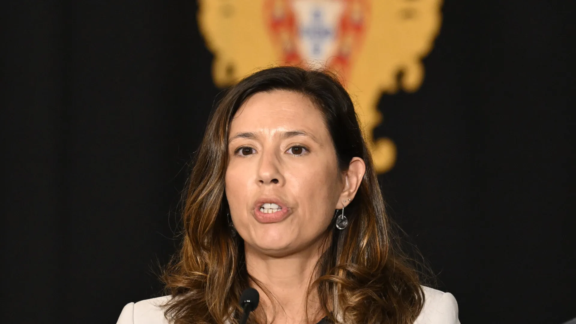 
                    Autárquicas? IL espera 
