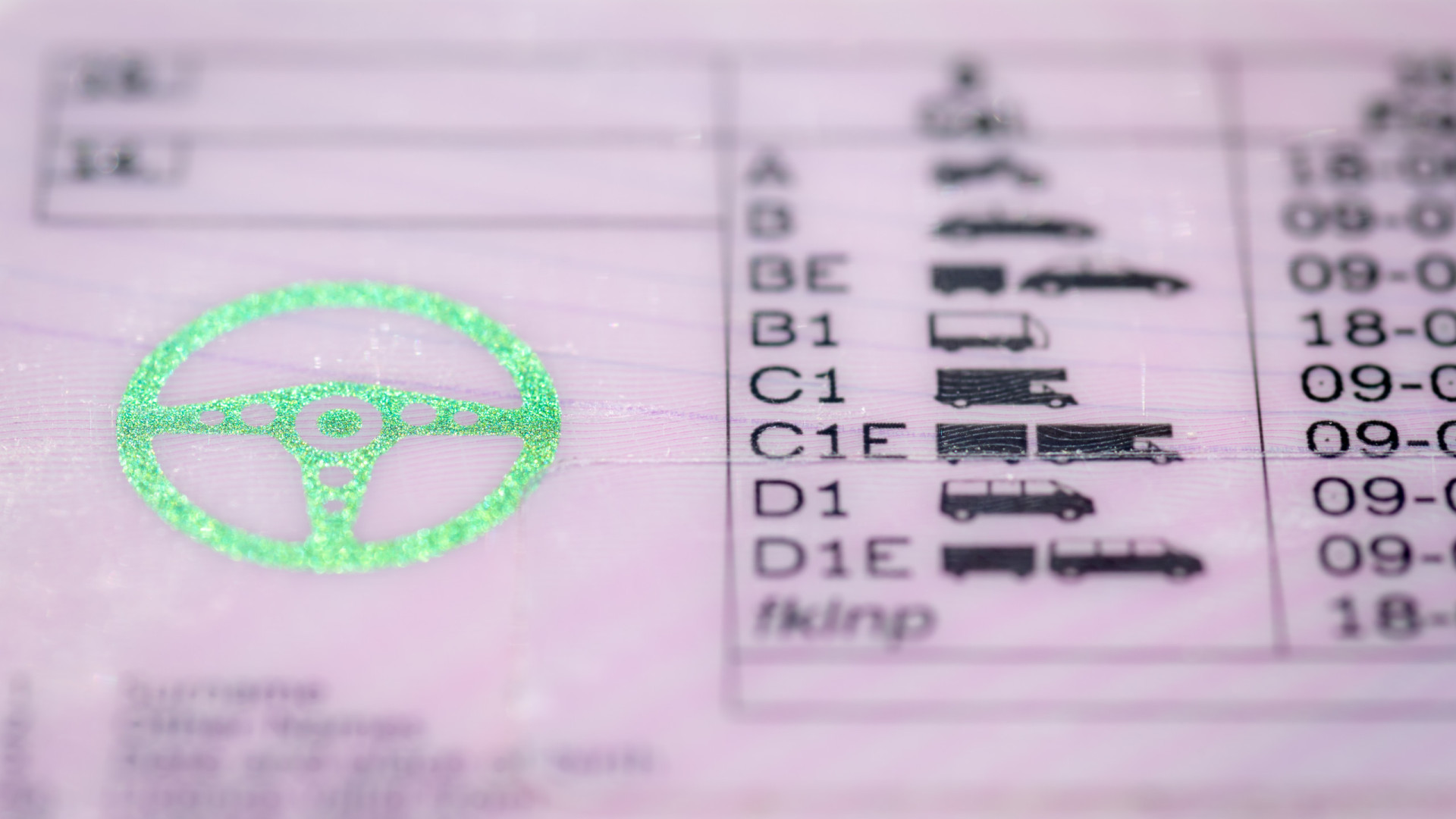 ANIECA alerta para o perigo do regime de cartas de condução estrangeiras