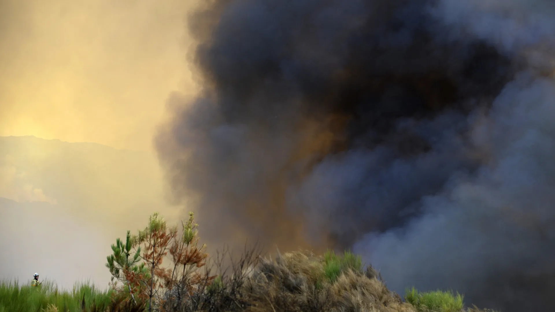
                    Mais de 100 operacionais combatem fogo no Parque Nacional da Peneda-Gerês
                