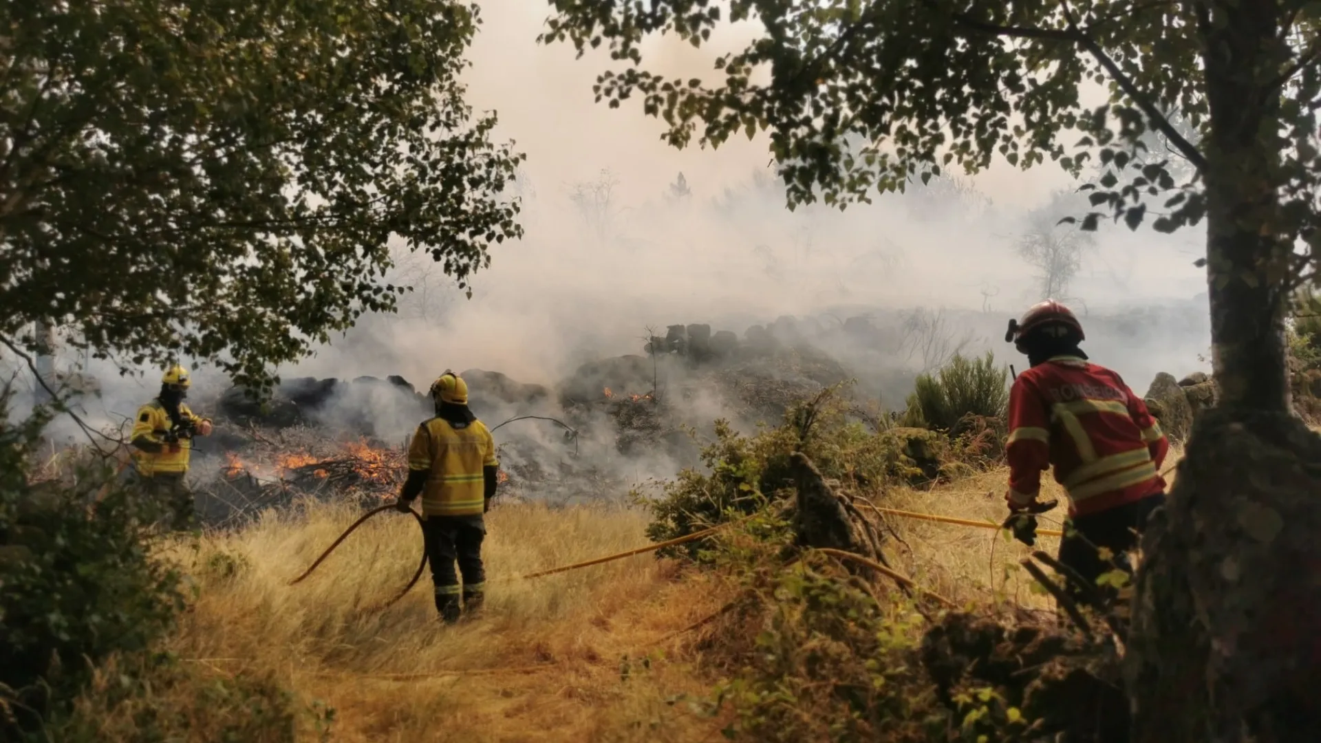 
                    Incêndios? Ministra defende 