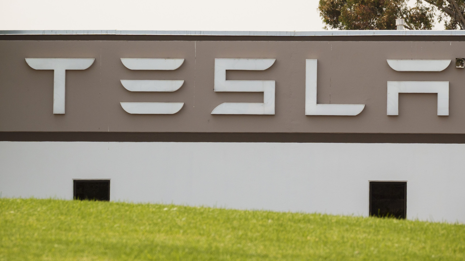 Elon Musk quer otimizar design de 'chips' da Tesla