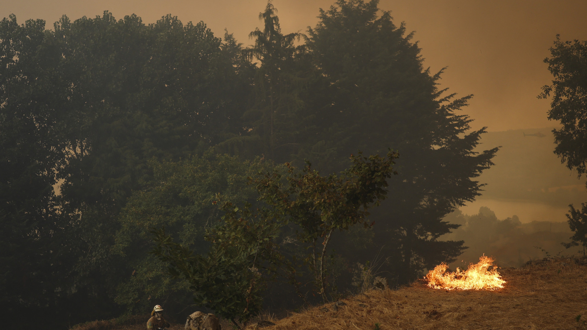 Calor continua e mais de 110 concelhos estão em risco máximo de incêndios