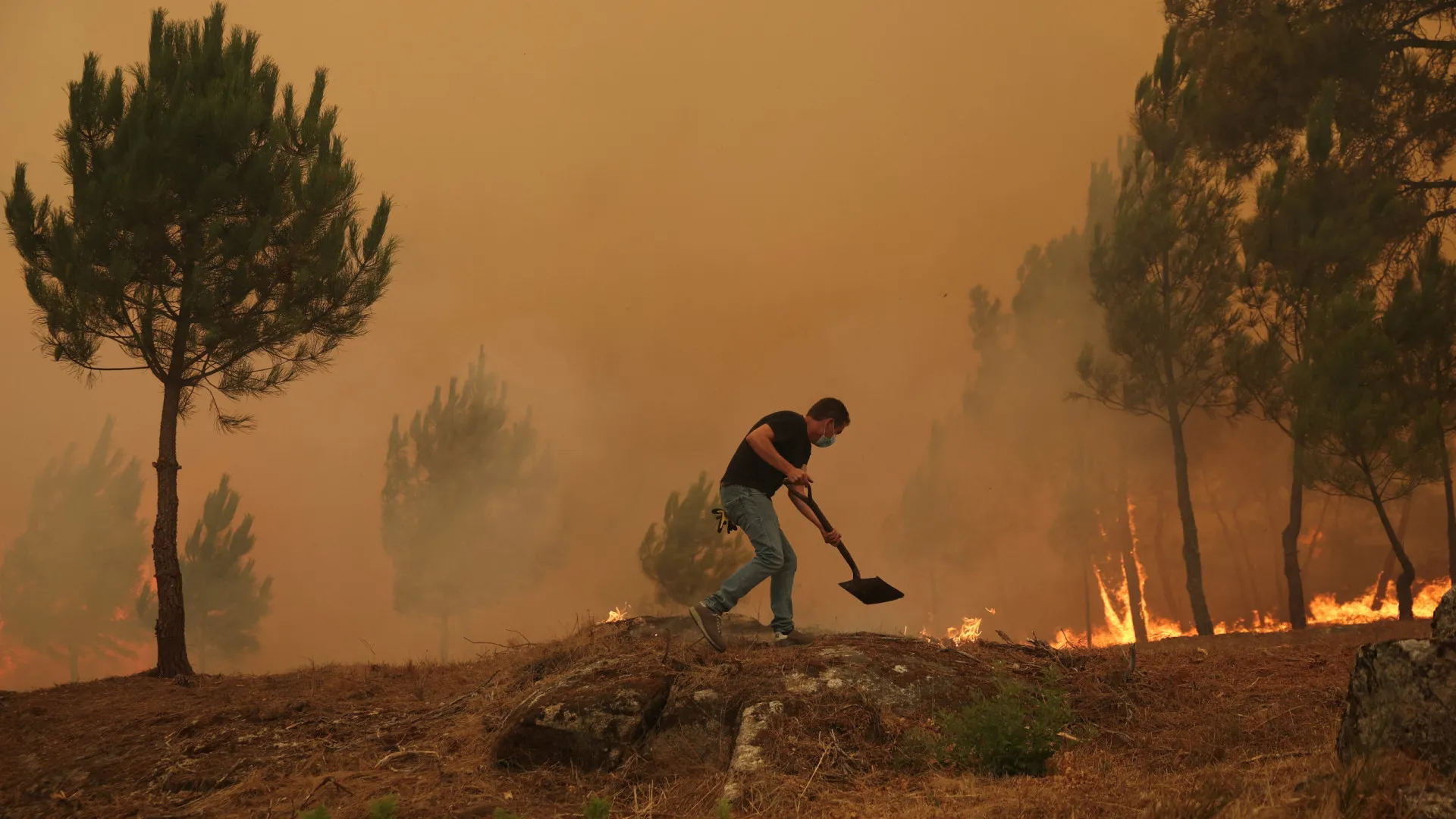 Portugalci med najbolj zaskrbljenimi zaradi gozdnih požarov na svetu