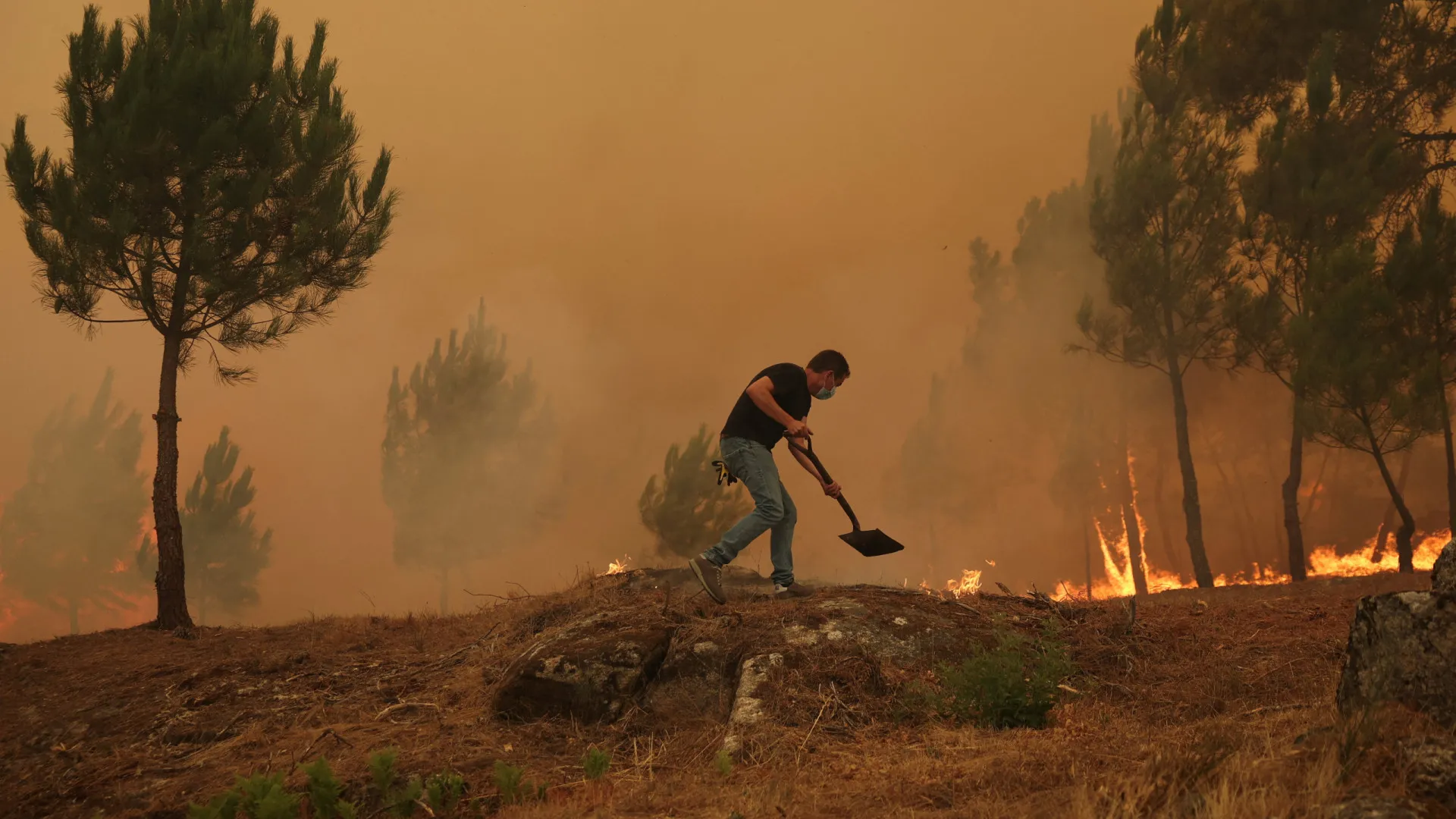 
                    Mais de uma centena de bombeiros combatem fogo em Aveiro
                