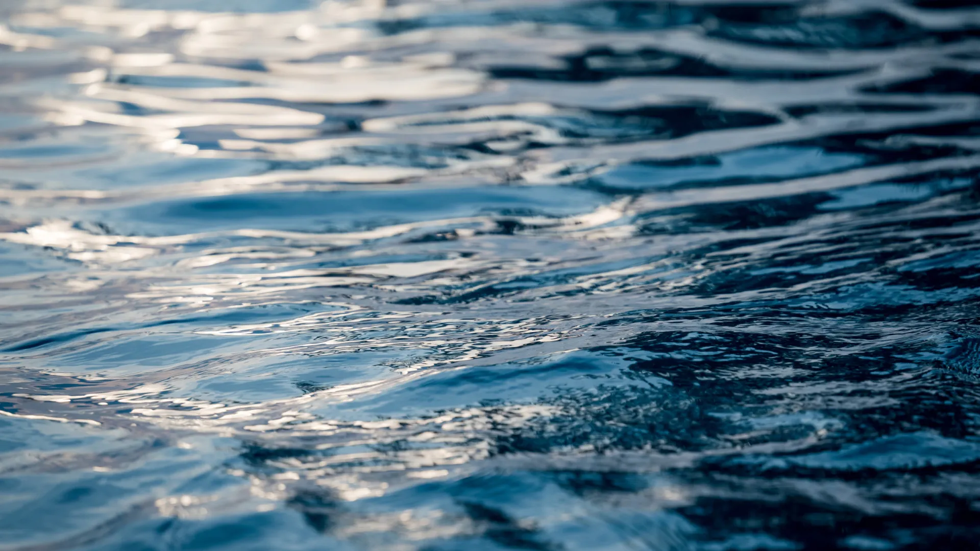 
                    IGAMAOT recolheu amostras de águas e resíduos em empresas alvo de buscas
                