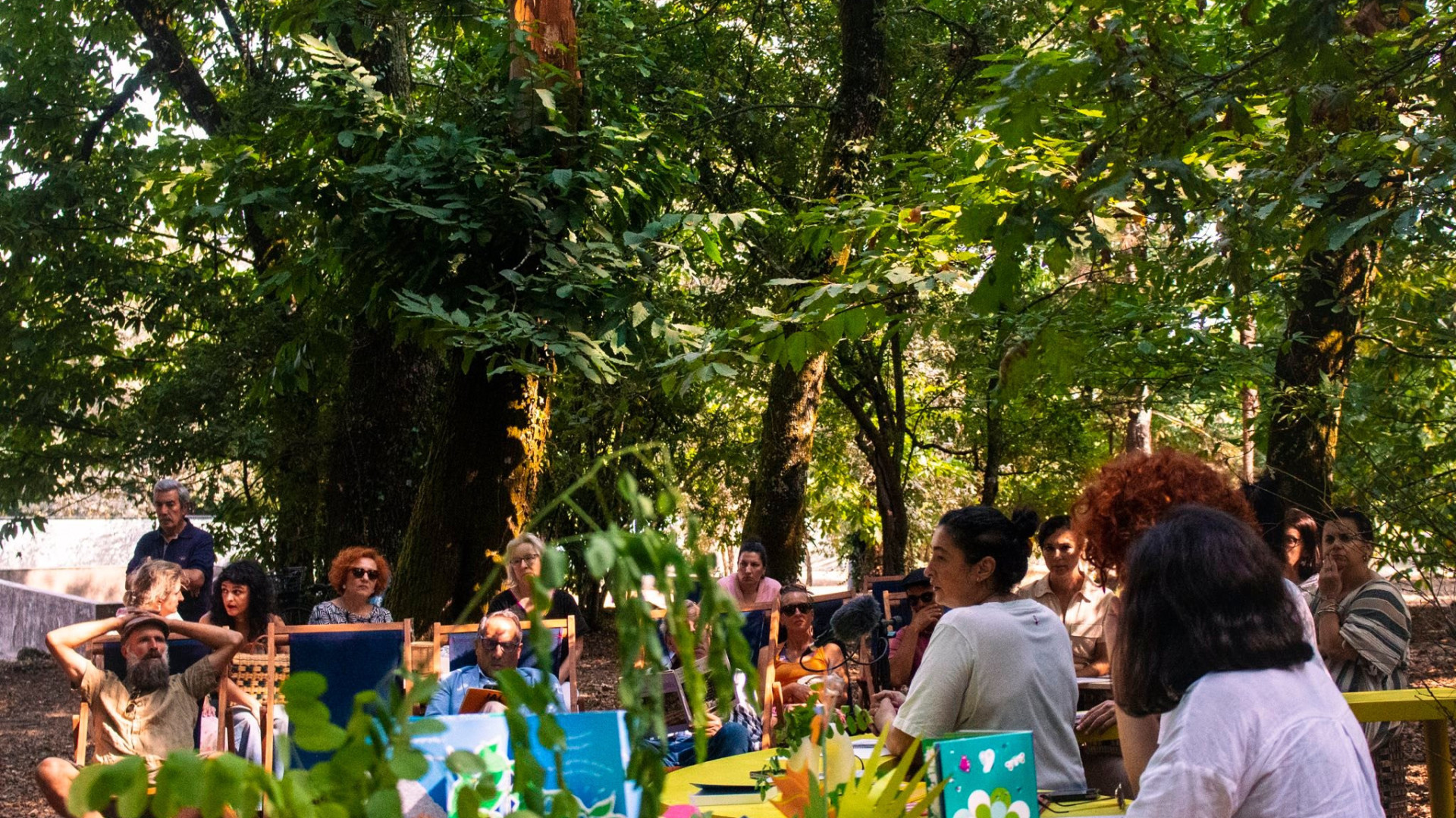Jardim das Artes e Letras instala-se em Viseu com livros, música e cinema