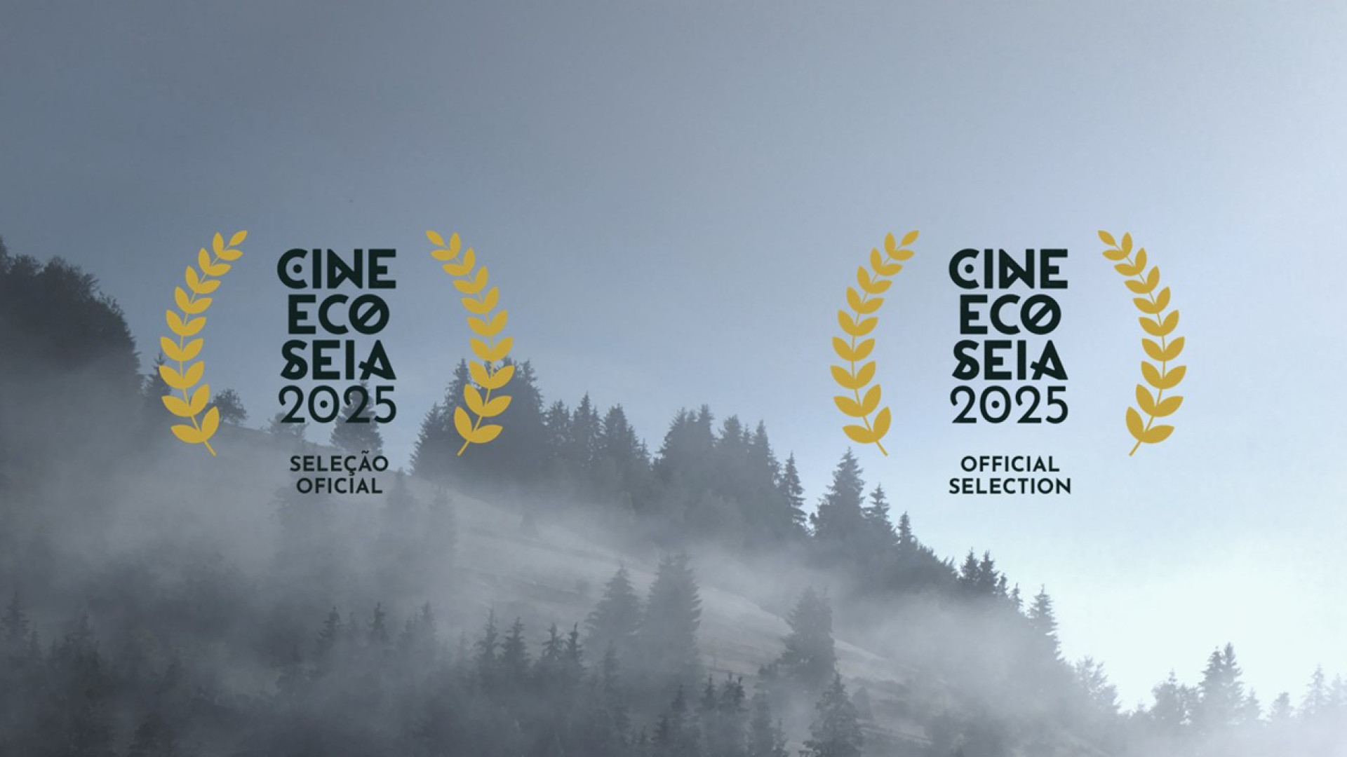CineEco em Seia terá 81 filmes a concurso e nova categoria para 'curtas'
