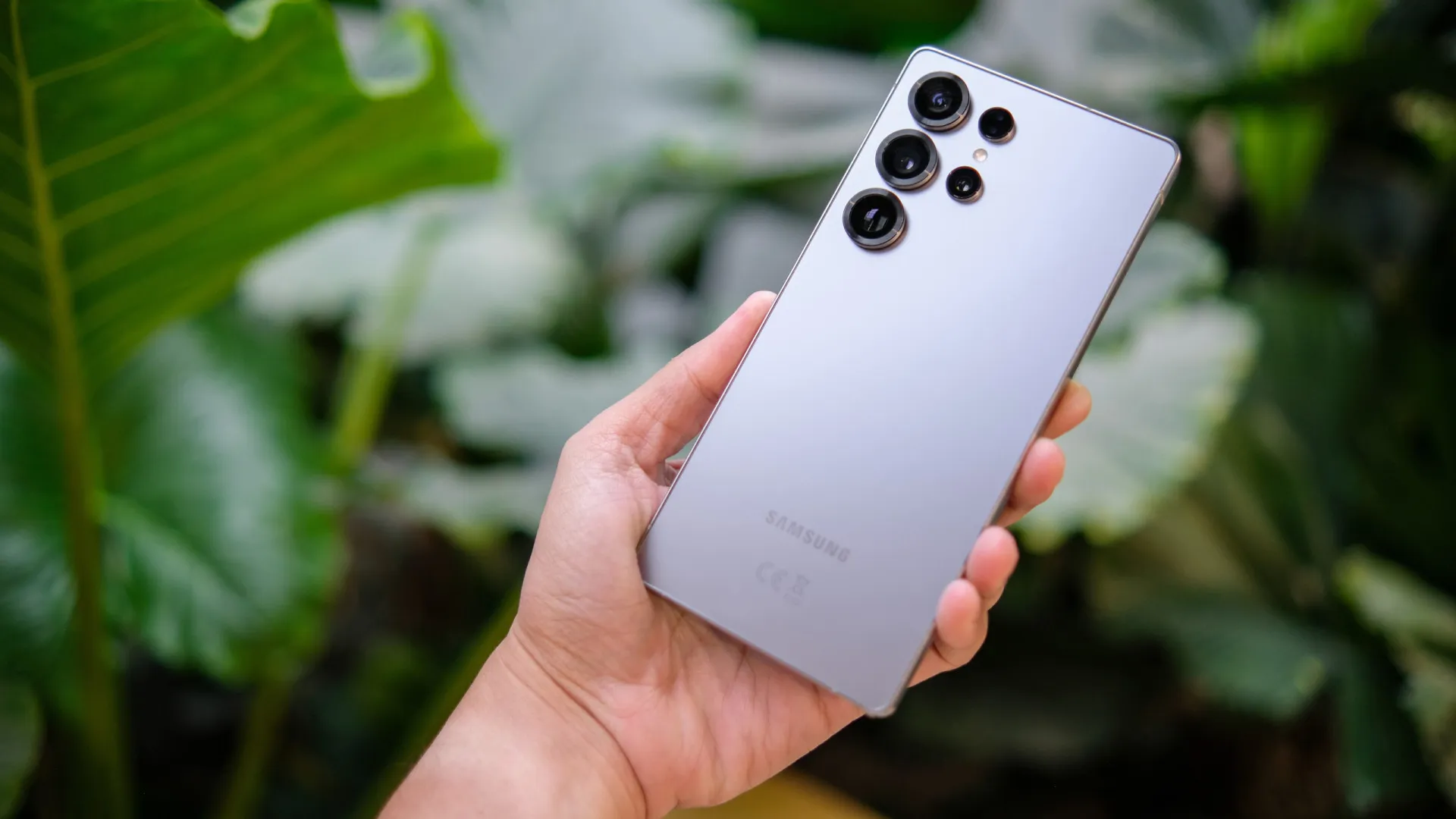 
                    Estes foram os telemóveis mais pesquisados em 2025
                