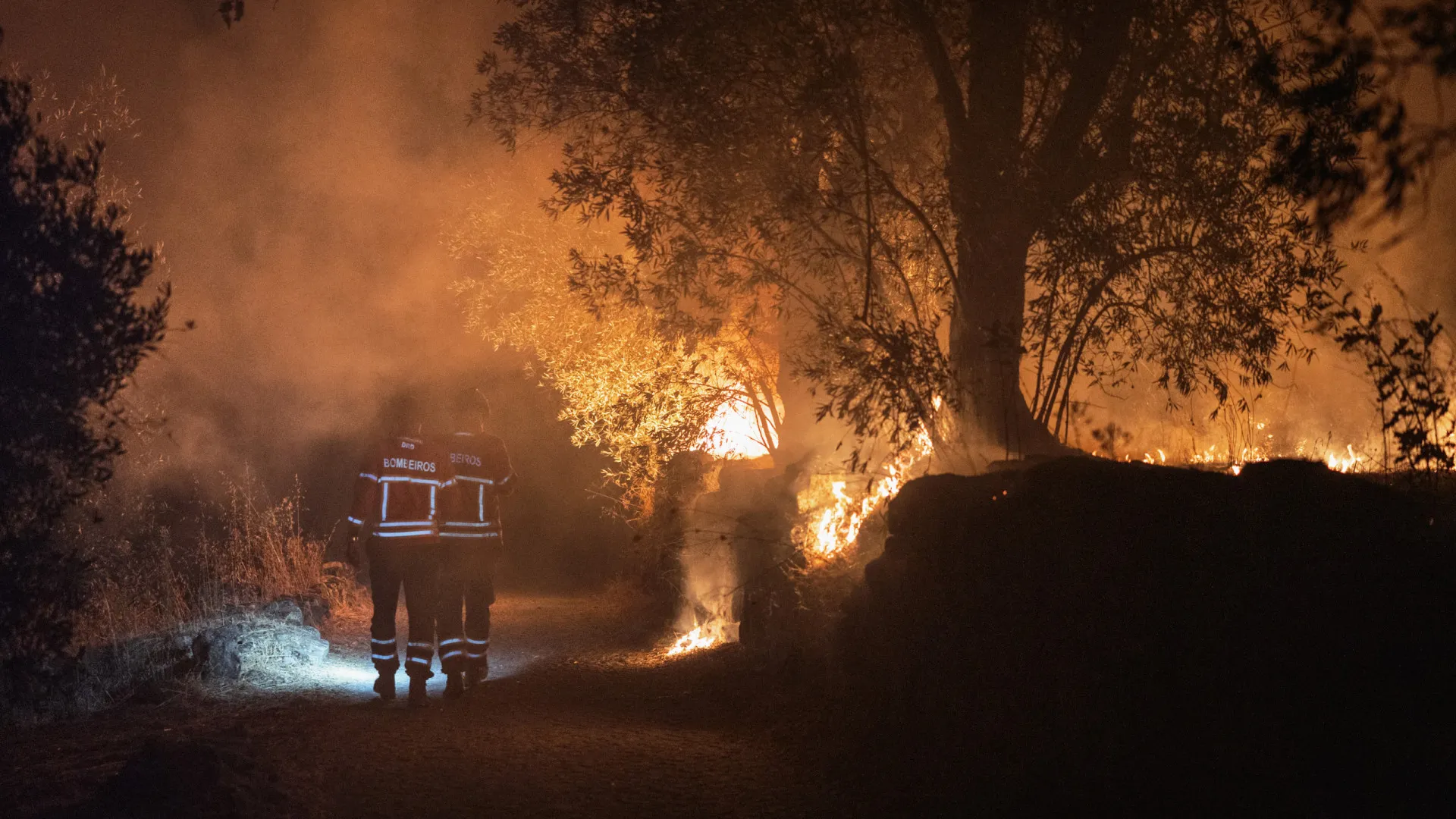 
                    Fogos. Câmara alarmada com milhões de euros de prejuízo em Sernancelhe
                
