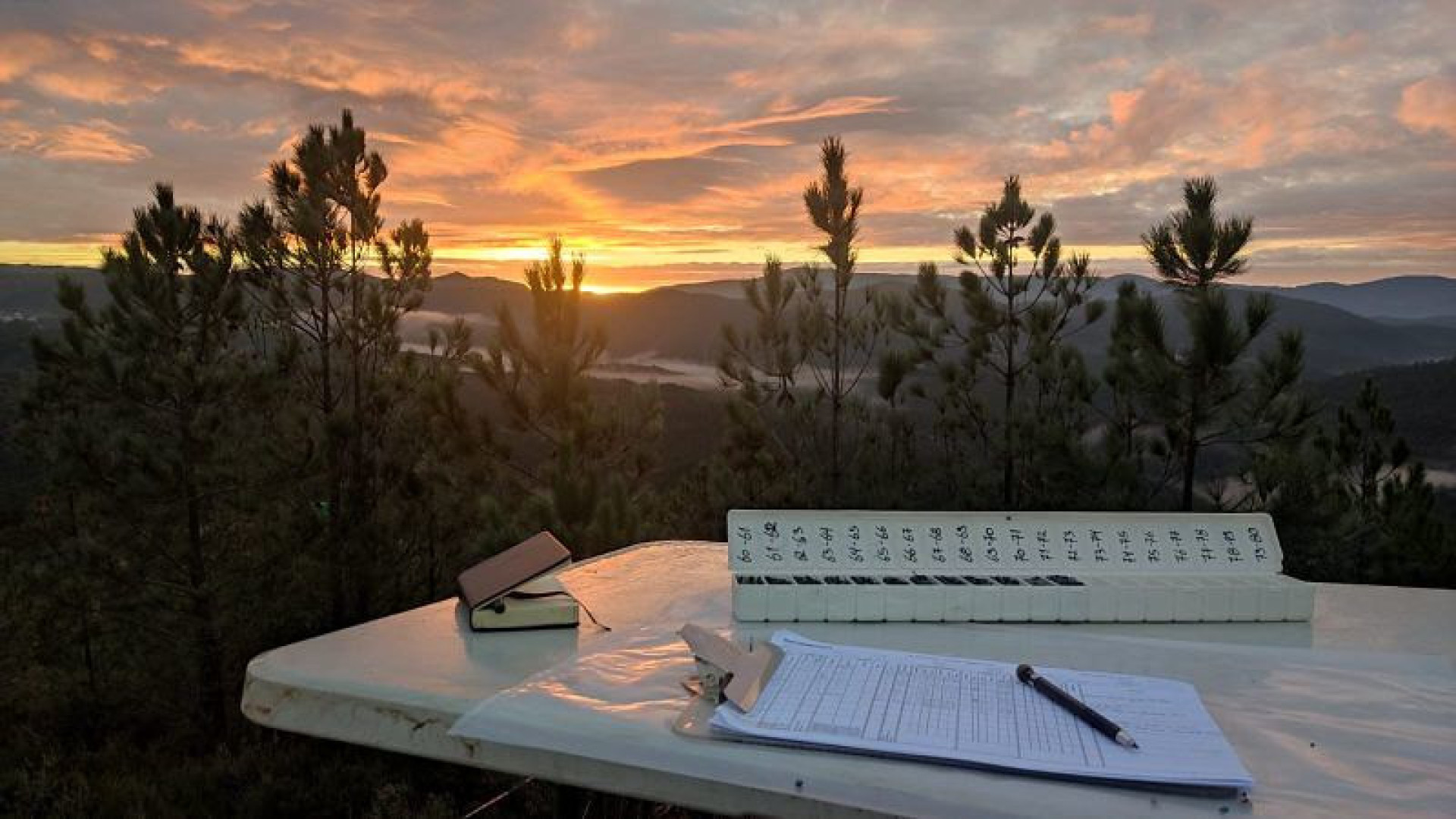 Savannah acaba sondagens: Afinal, pode haver "maior quantidade de lítio"