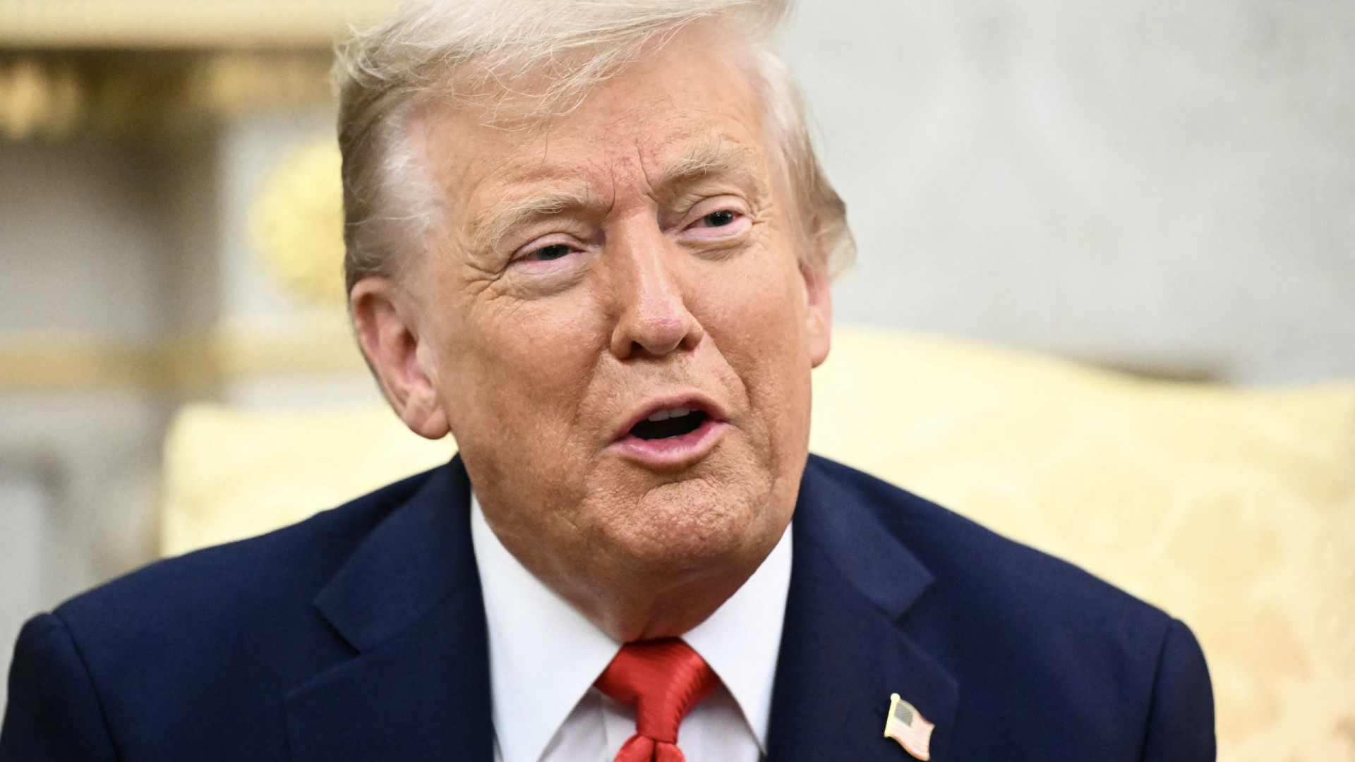 "É uma honra". Trump diz que lhe chamam "o presidente da Europa"