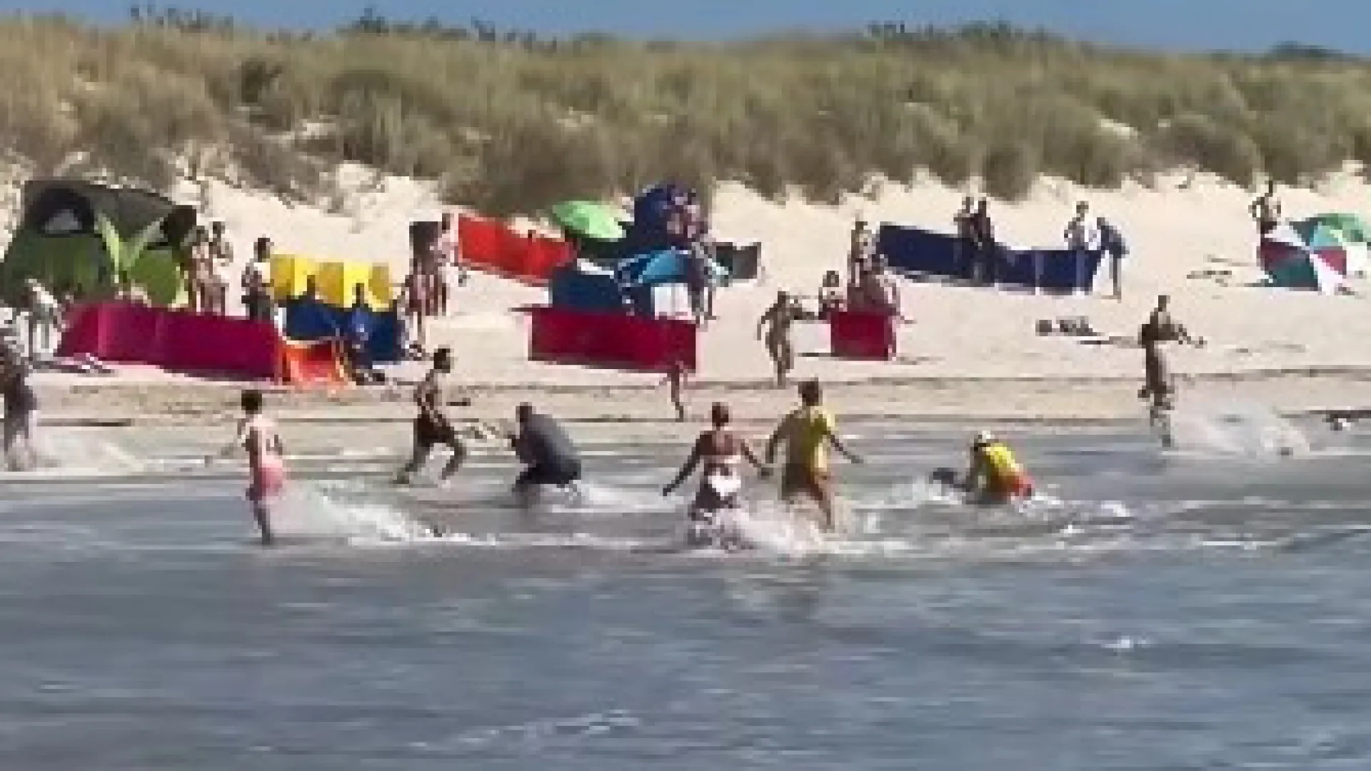 
                    Figueira: Onda arrasta banhistas e nadadores-salvadores evitam tragédia
                