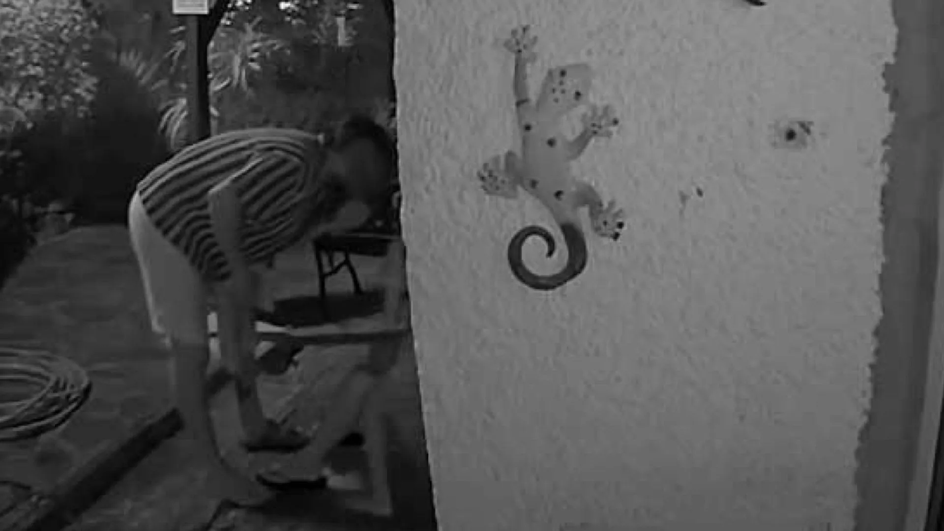 
                    Crianças que assistem a agressões têm de ser 