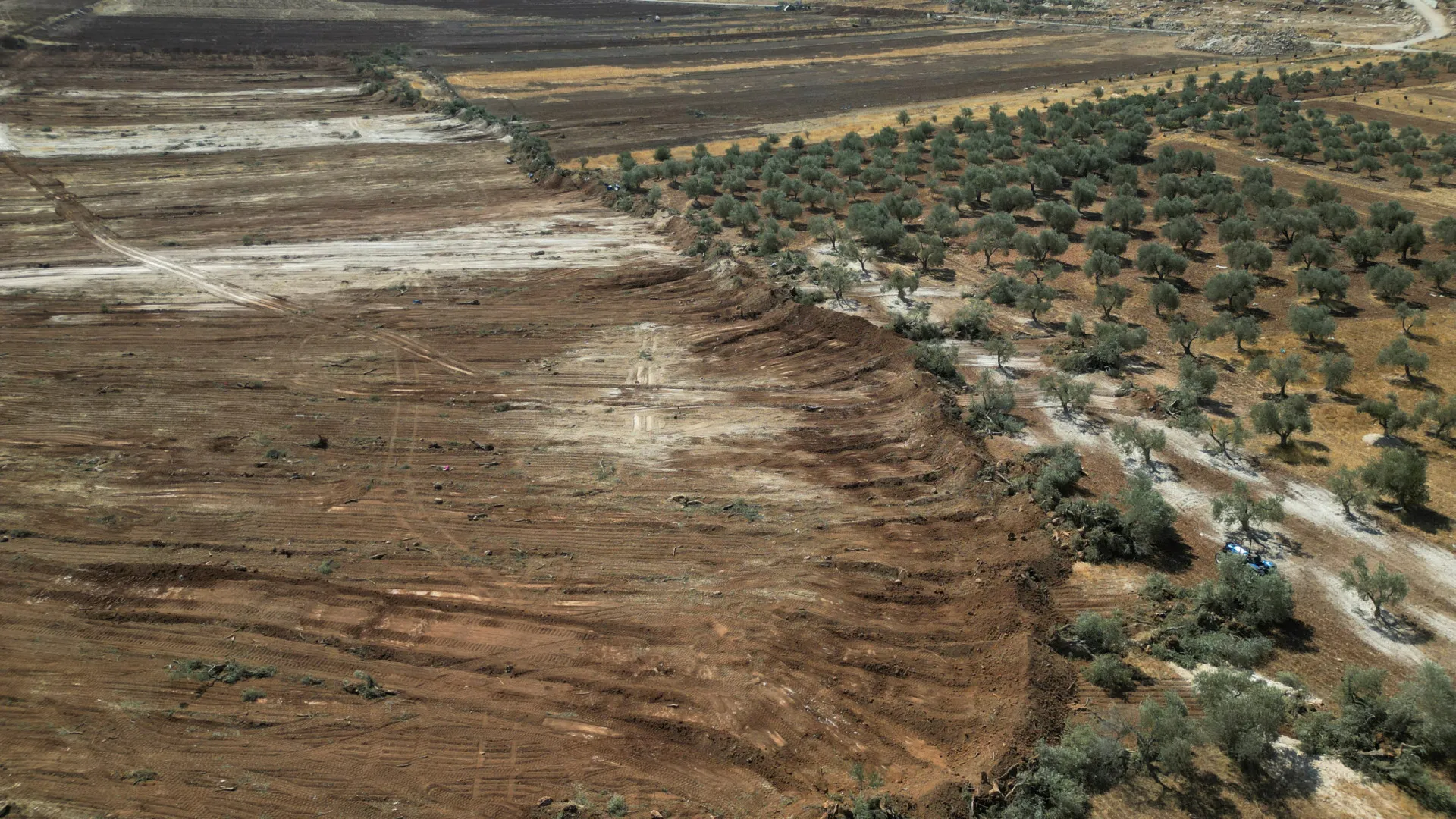 
                    General acusado de crimes de guerra por arrancar oliveiras palestinianas
                