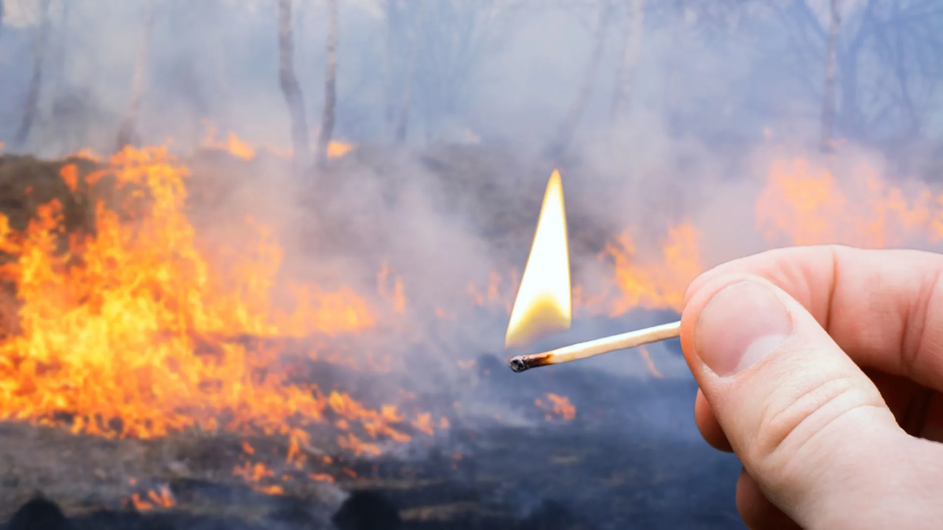 
                    Homem detido por suspeitas de (pelo menos) 17 incêndios em Ponte da Barca
                