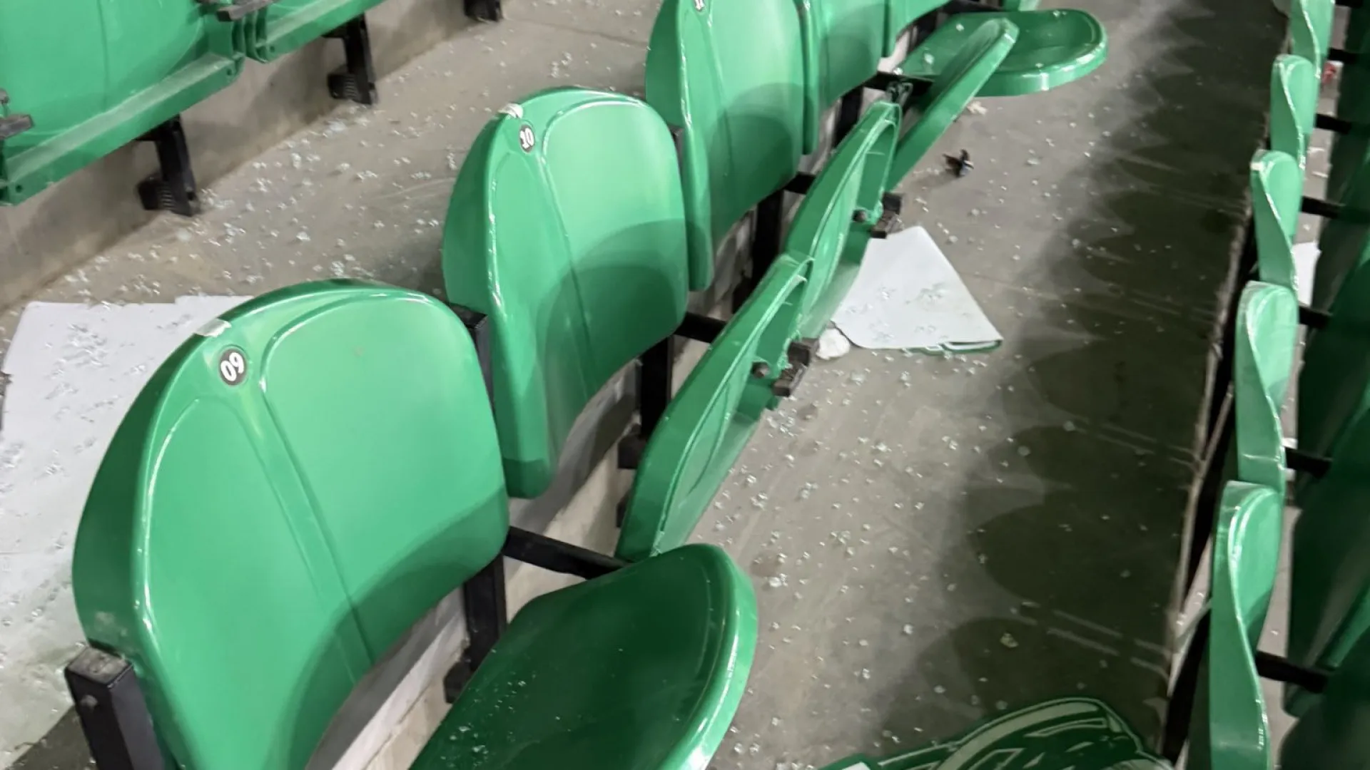 
                    Sporting faz participação contra o FC Porto após comportamento de adeptos
                