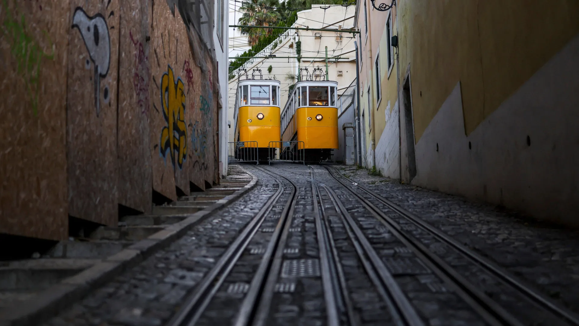 
                    Proteção Civil de Lisboa corrige número de vítimas mortais para 16
                