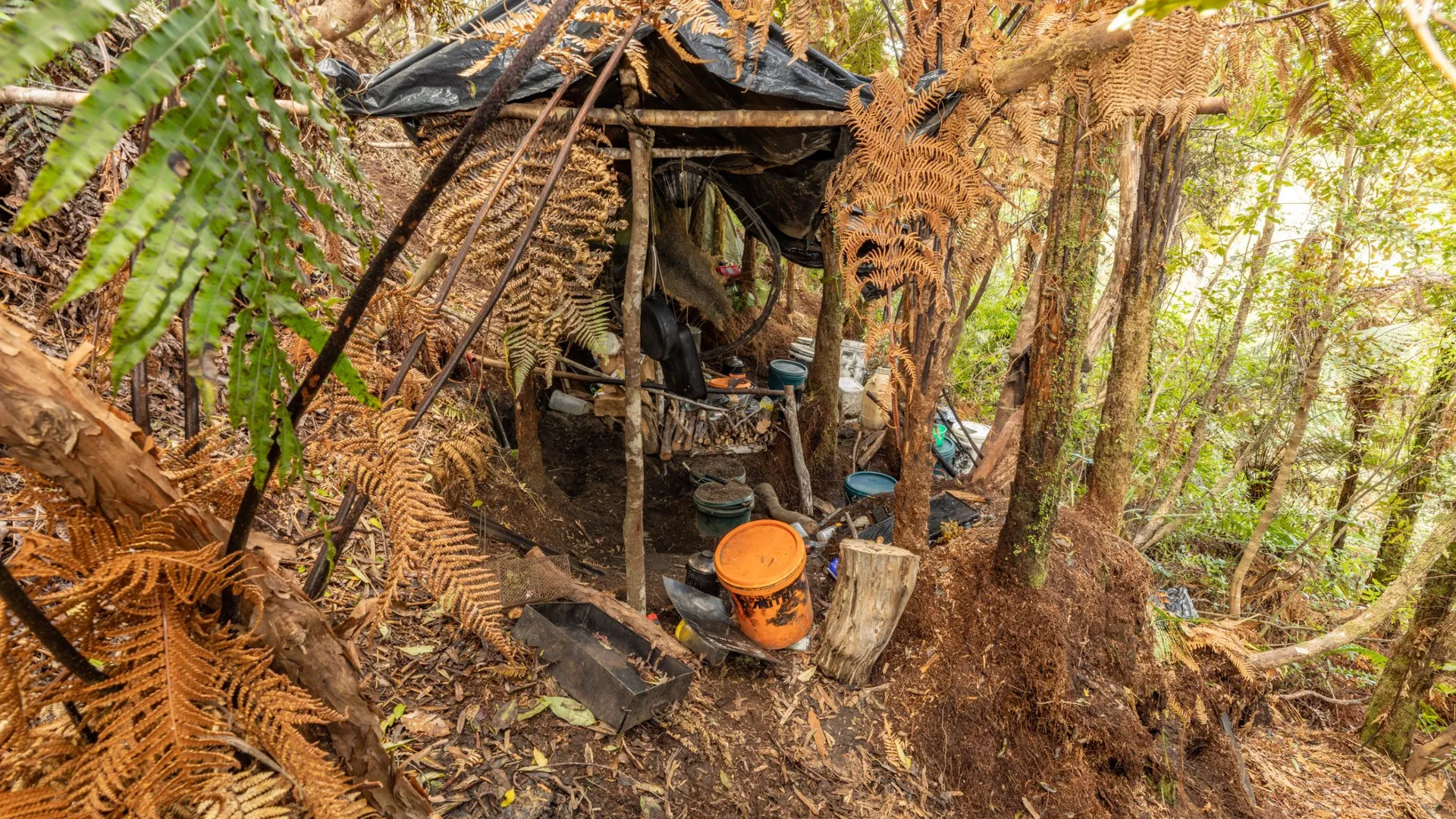 
                    Nova Zelândia. Encontrado novo acampamento de fugitivo: 