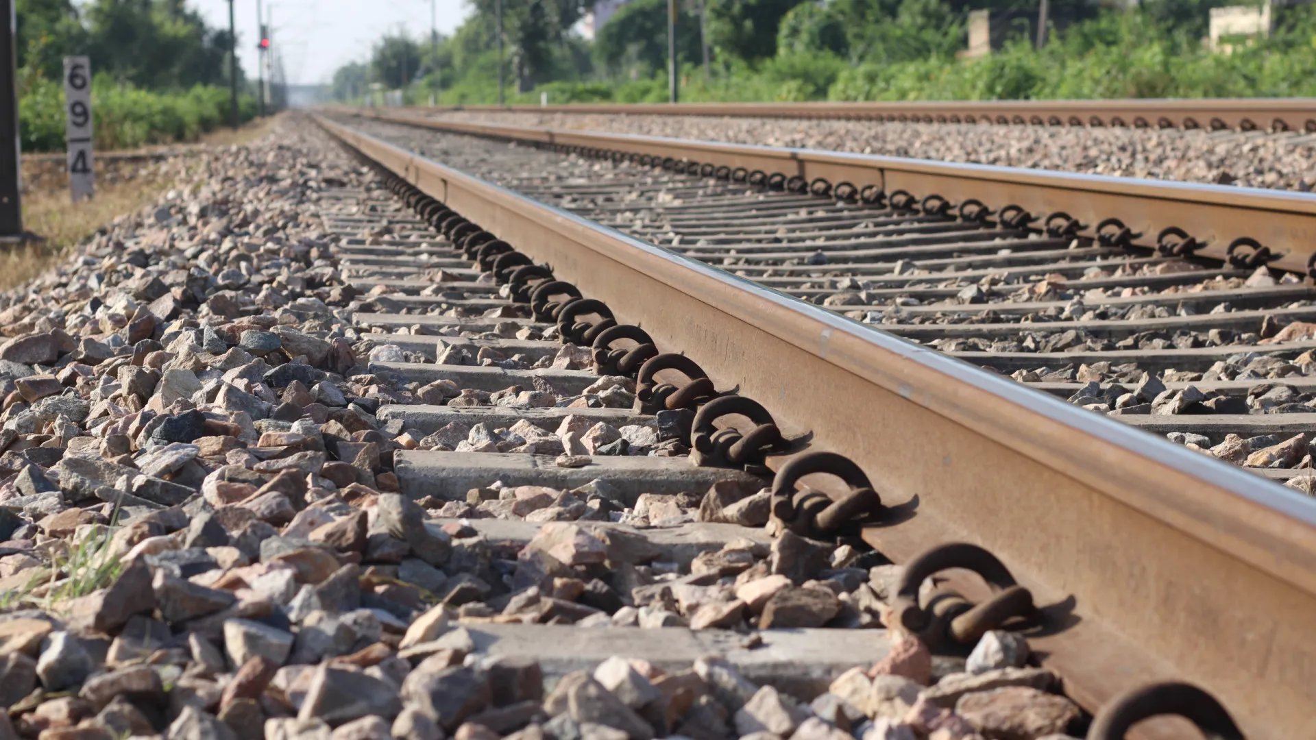 
                    Mealhada: Restabelecida circulação ferroviária após atropelamento mortal
                