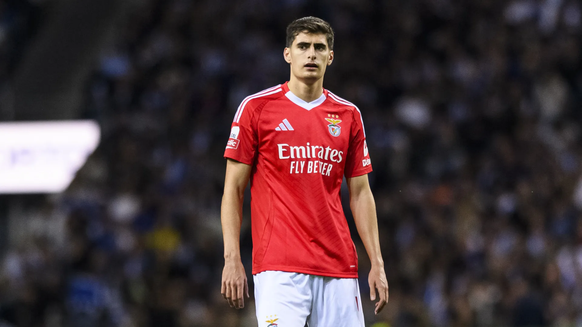 Sindicato dos Jogadores condena APAF após queixa contra António Silva