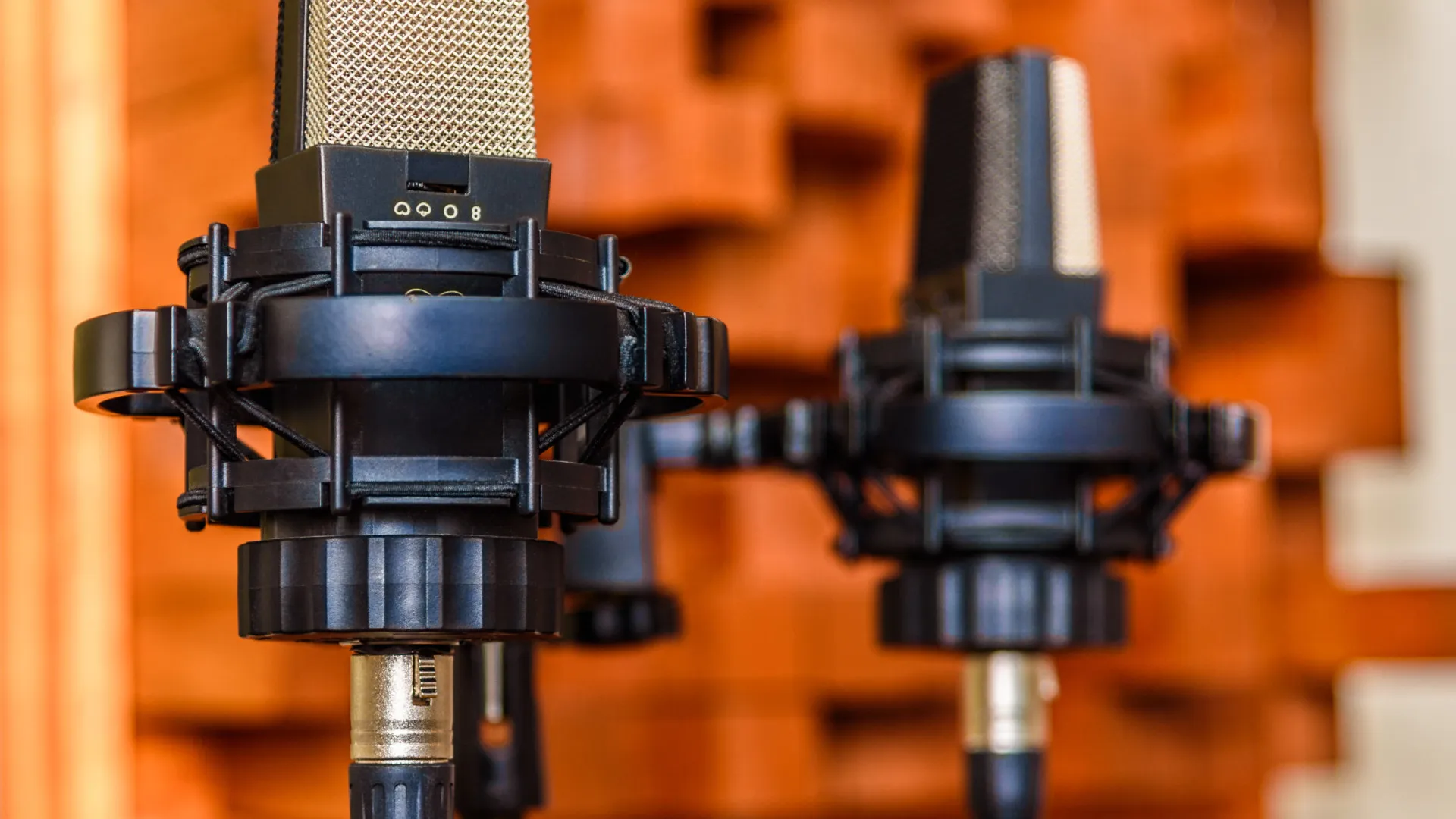 
                    Radio Free Azia encerará operações jornalísticas na sexta-feira
                