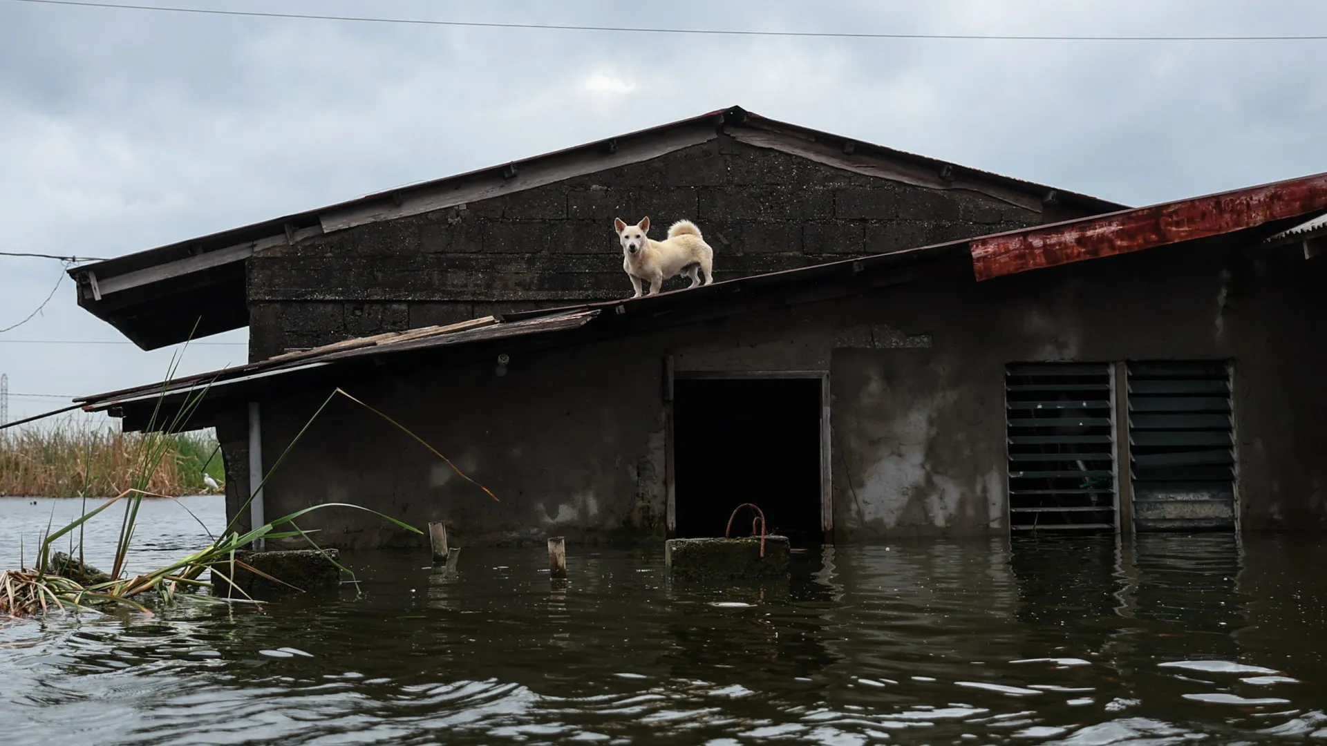 Tufão Bualoi já fez dez mortos nas Filipinas. As imagens da destruição
