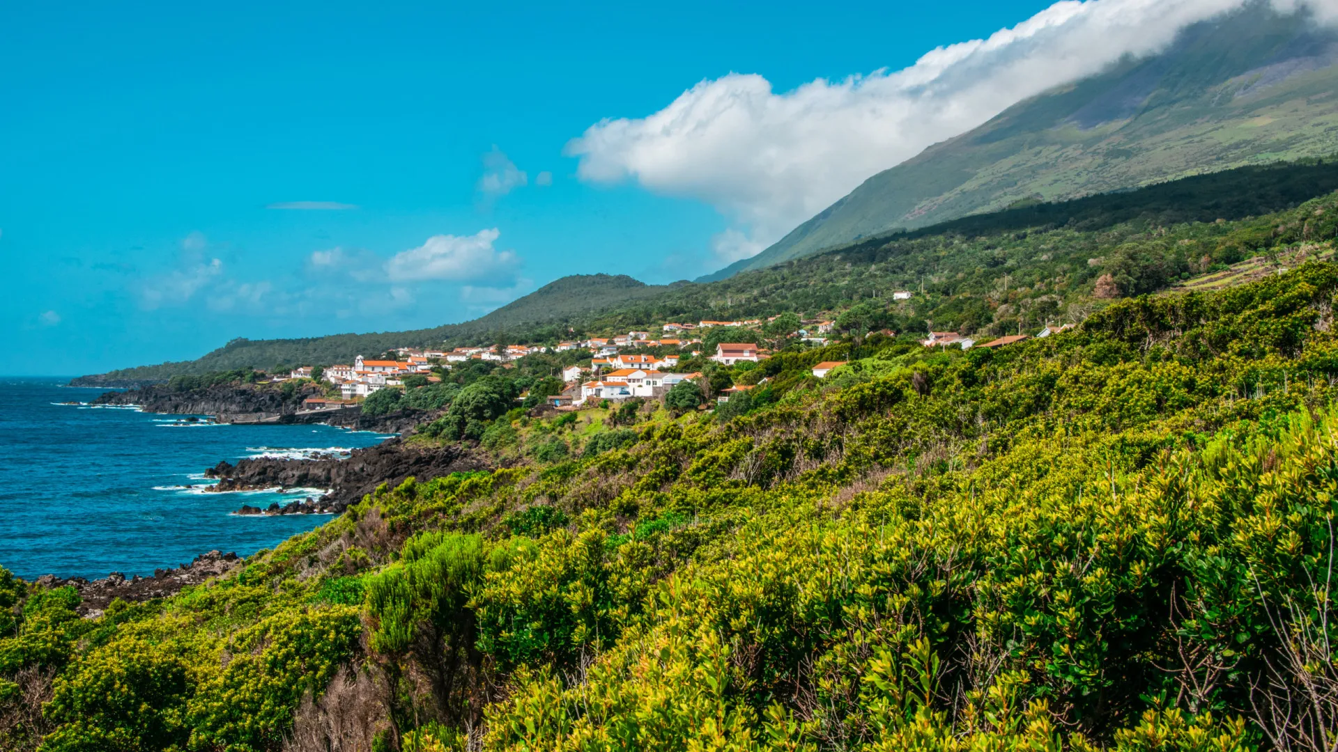 
                    Petição pede suspensão de exigência de recibo no subsídio de mobilidade
                