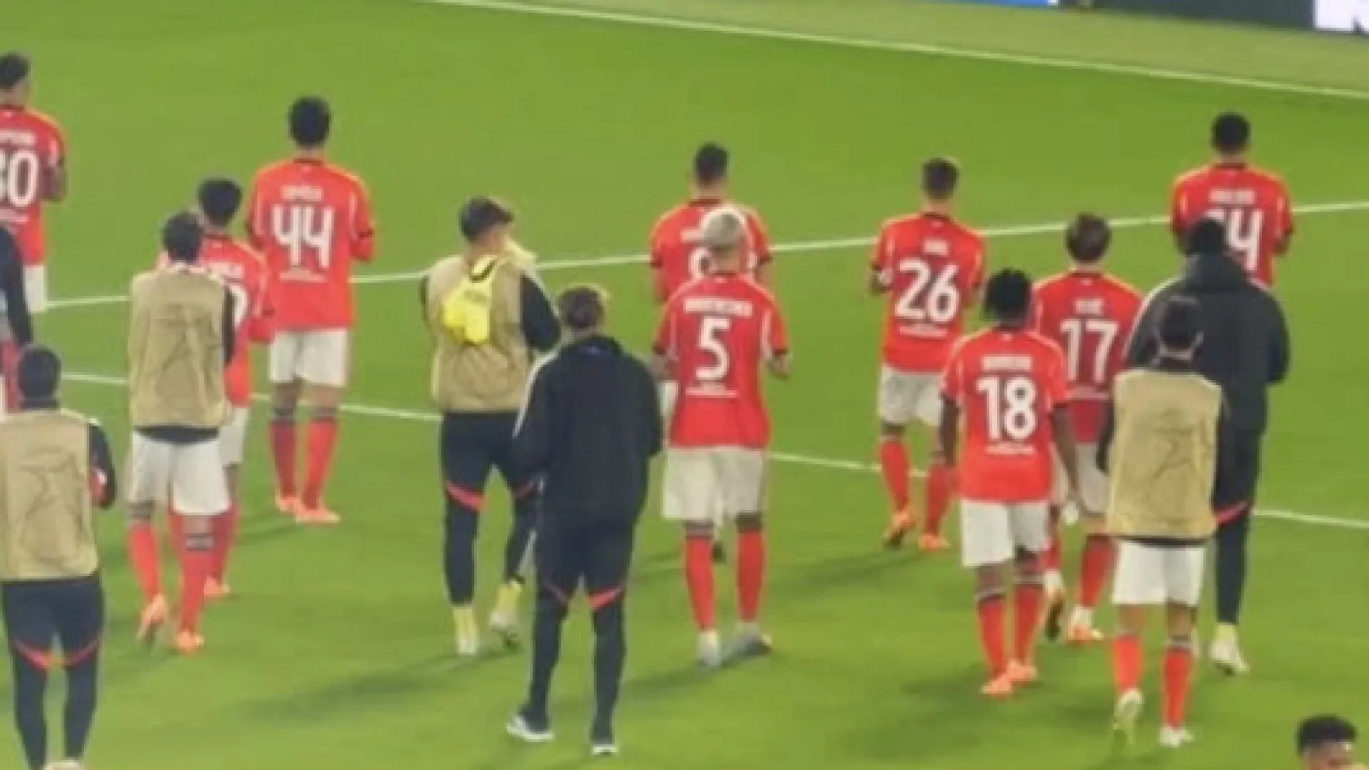 "Assim, é mais fácil". Mourinho agradece aos adeptos do Benfica com vídeo