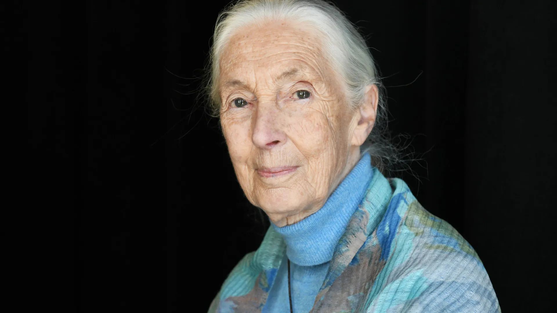 
                    Amazon Web Services digitaliza seis décadas de investigação de Jane Goodall
                