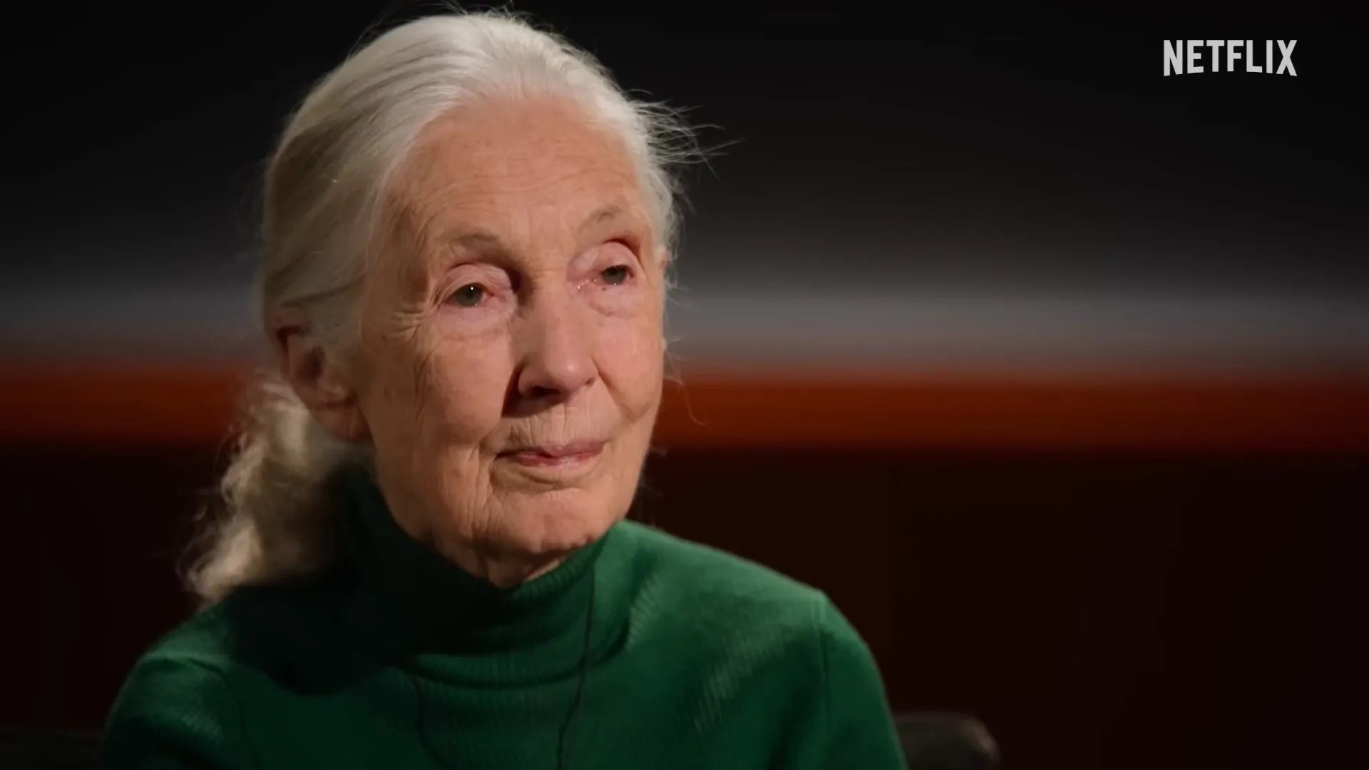 
                    Netflix lança entrevista com Jane Goodall, a última antes de morrer
                