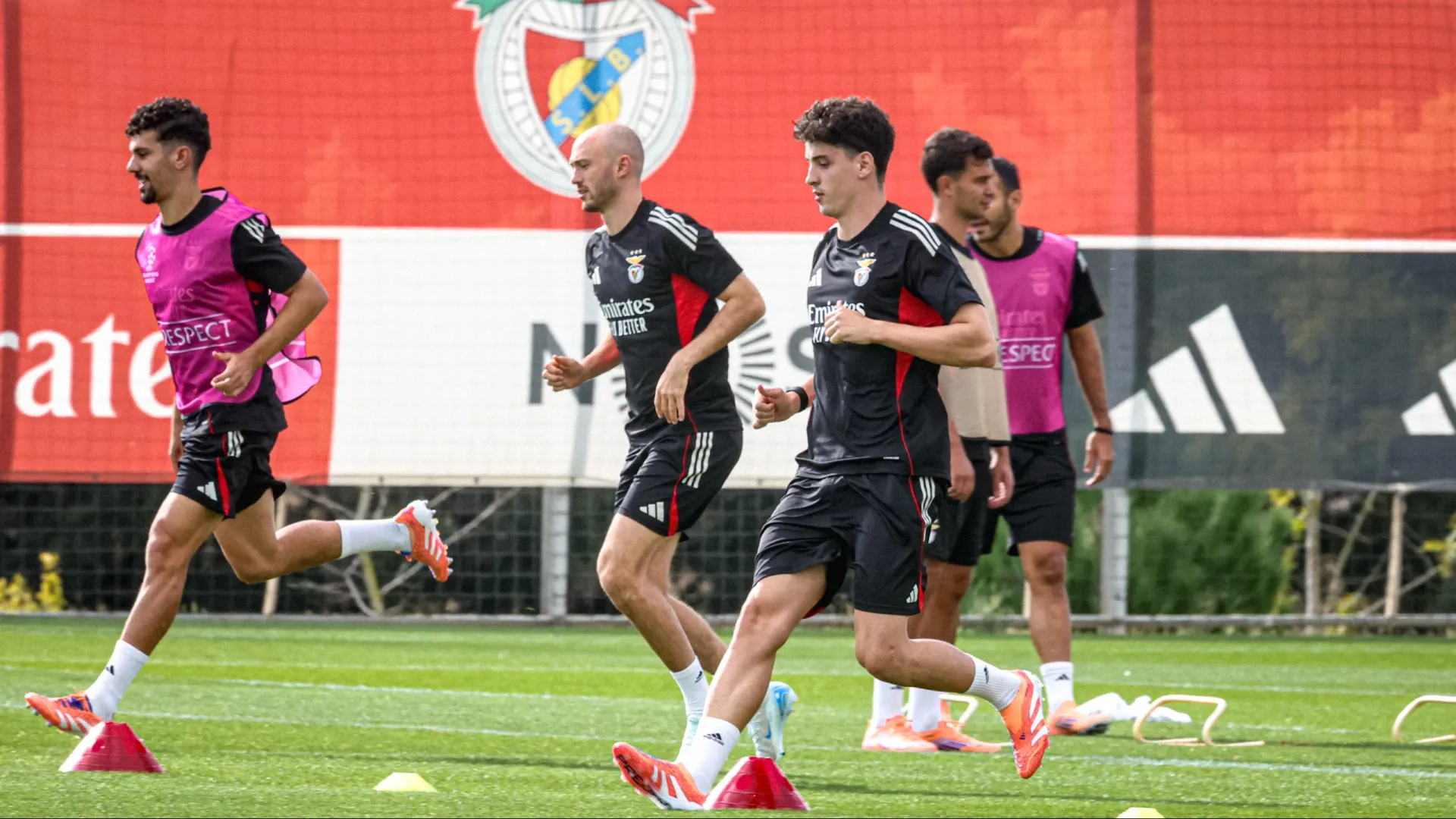 
                    Benfica fecha preparação da visita ao Newcastle e pormenor salta à vista
                