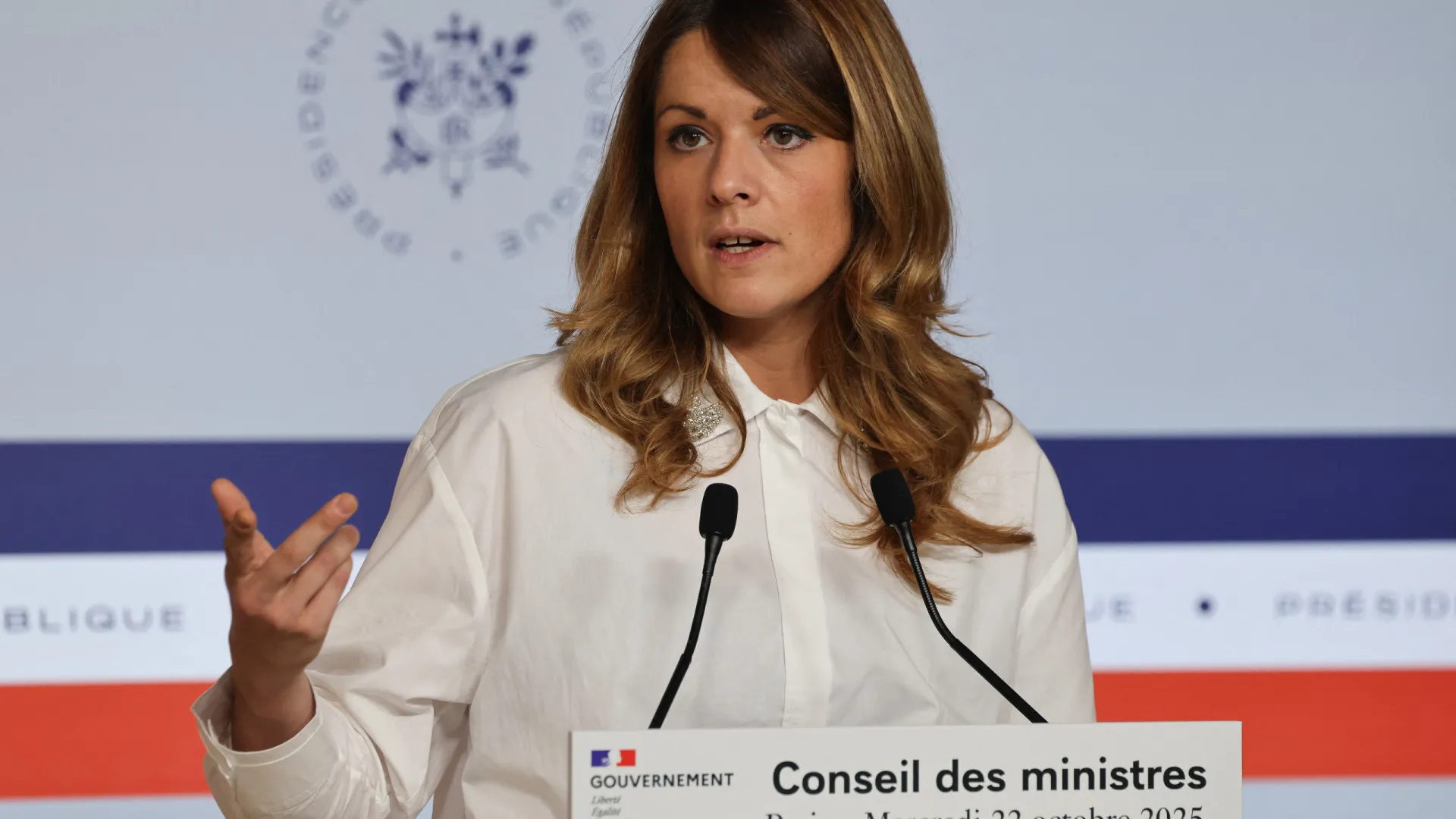 
                    Governo francês apela a vítimas do caso Epstein para 