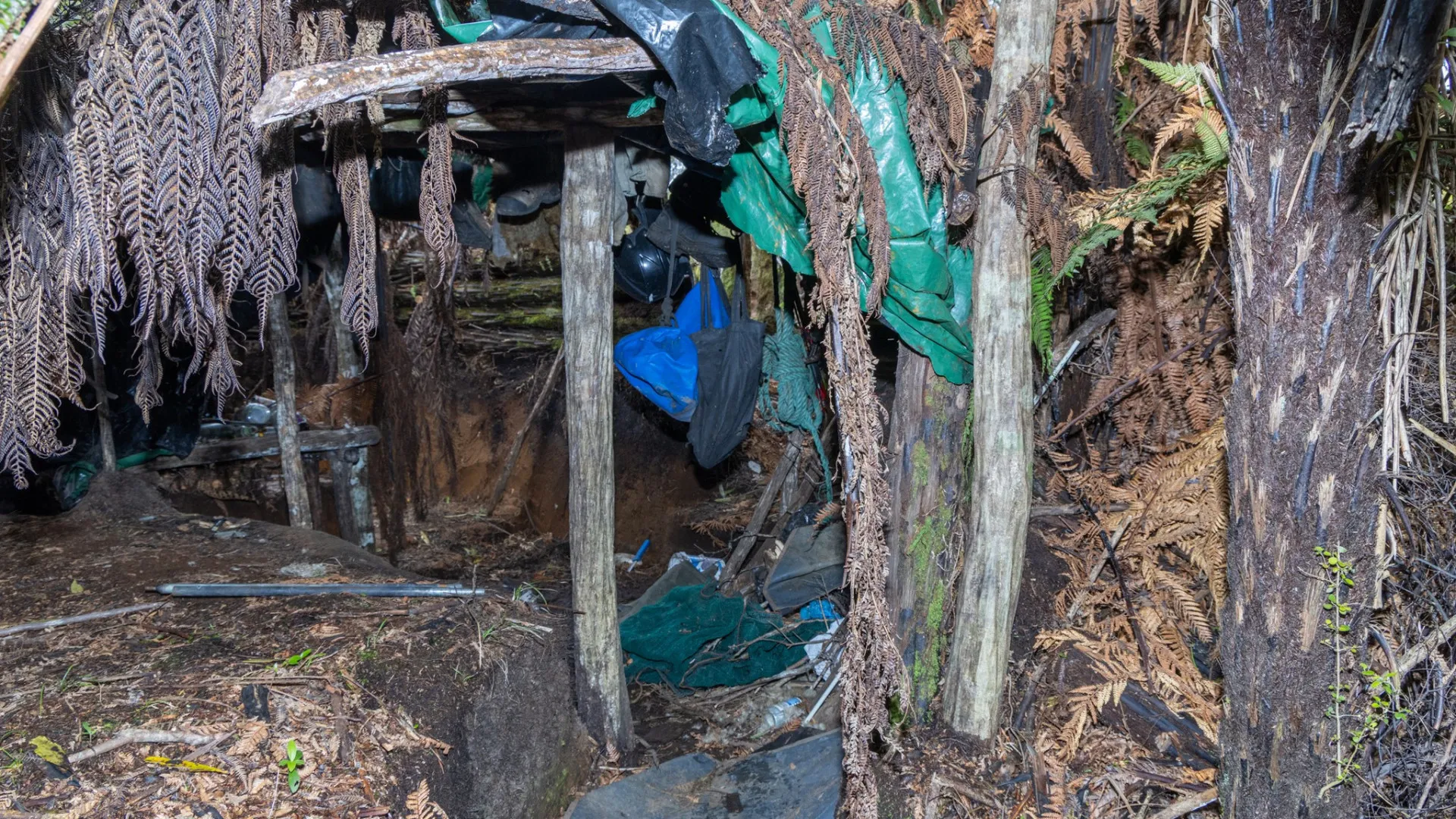 Nova Zelândia. Divulgadas imagens de