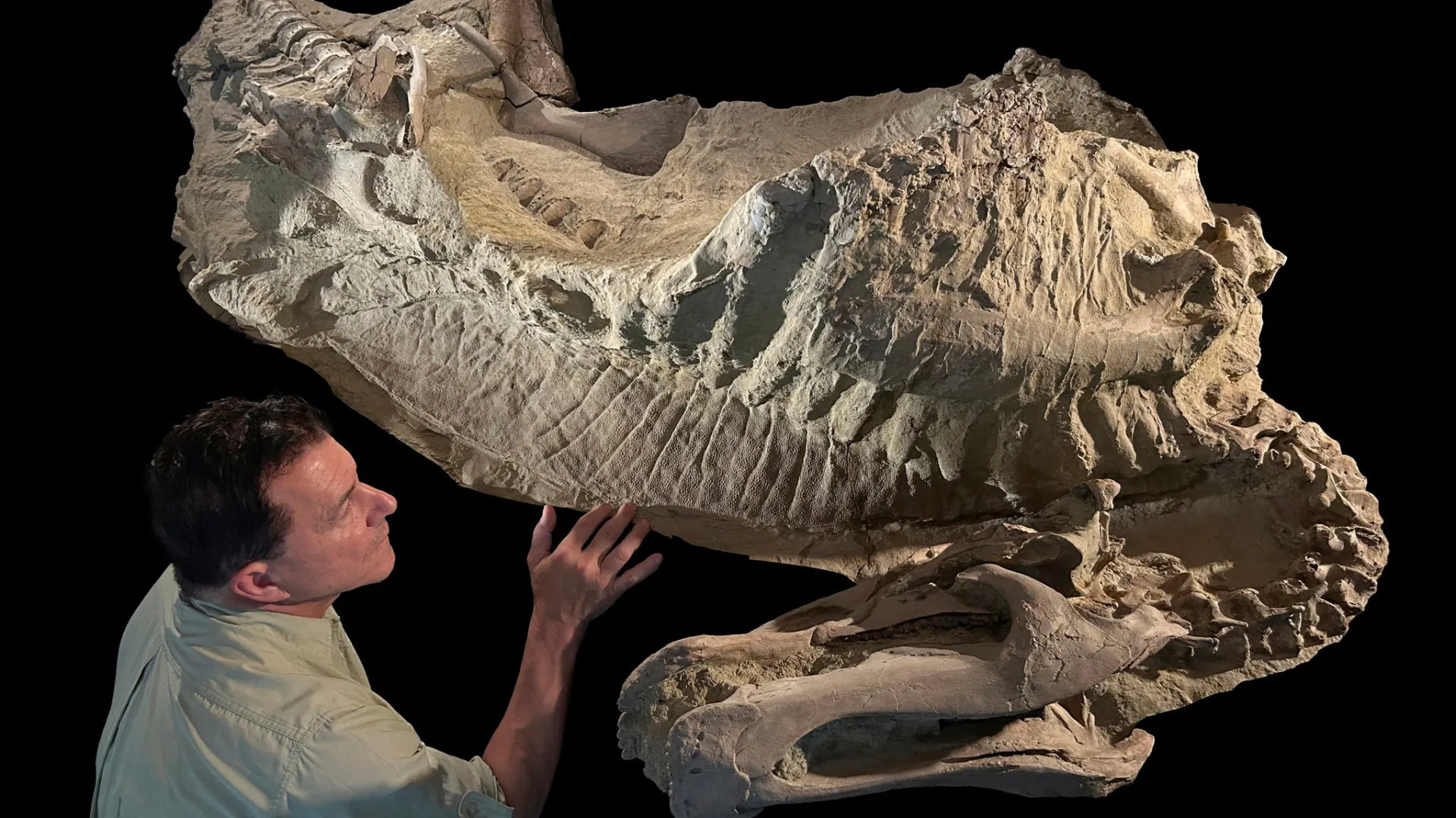 Inédito. 'Múmias' de dinossauros revelam característica